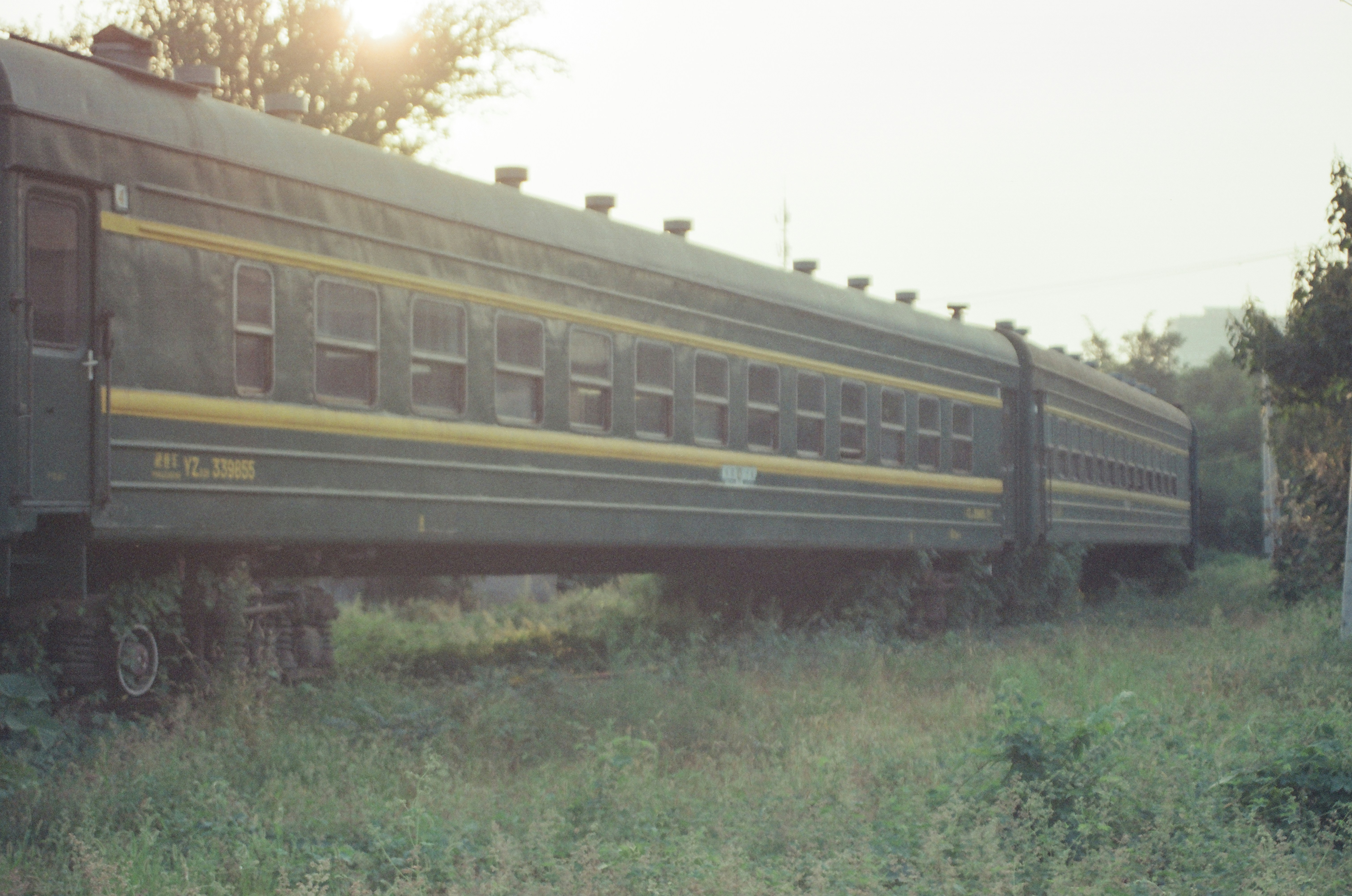 Old train cars sit abandoned in overgrown grass.