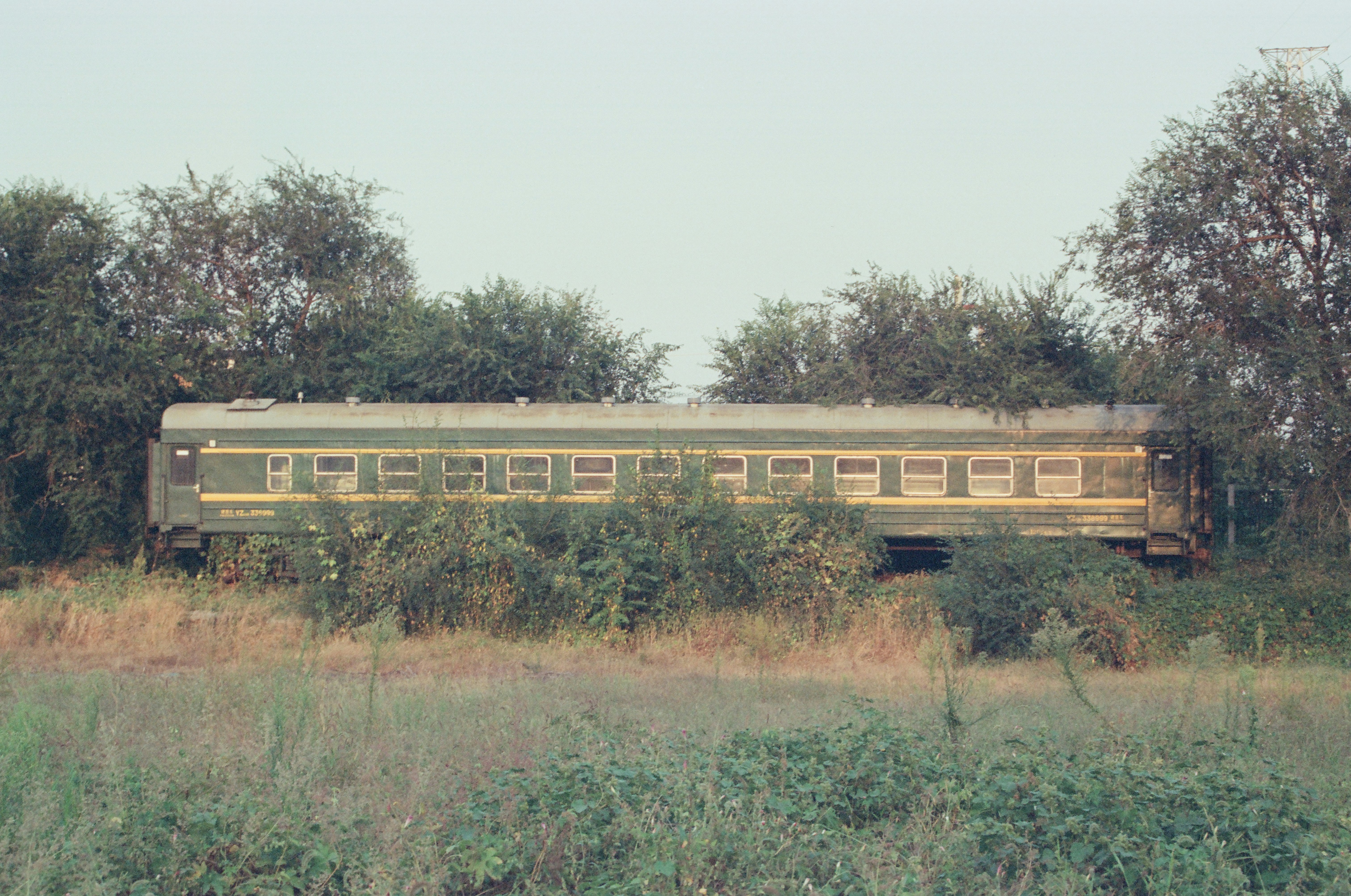 An abandoned train car sits among overgrown bushes