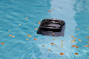 A black object floats in a blue pool with leaves.