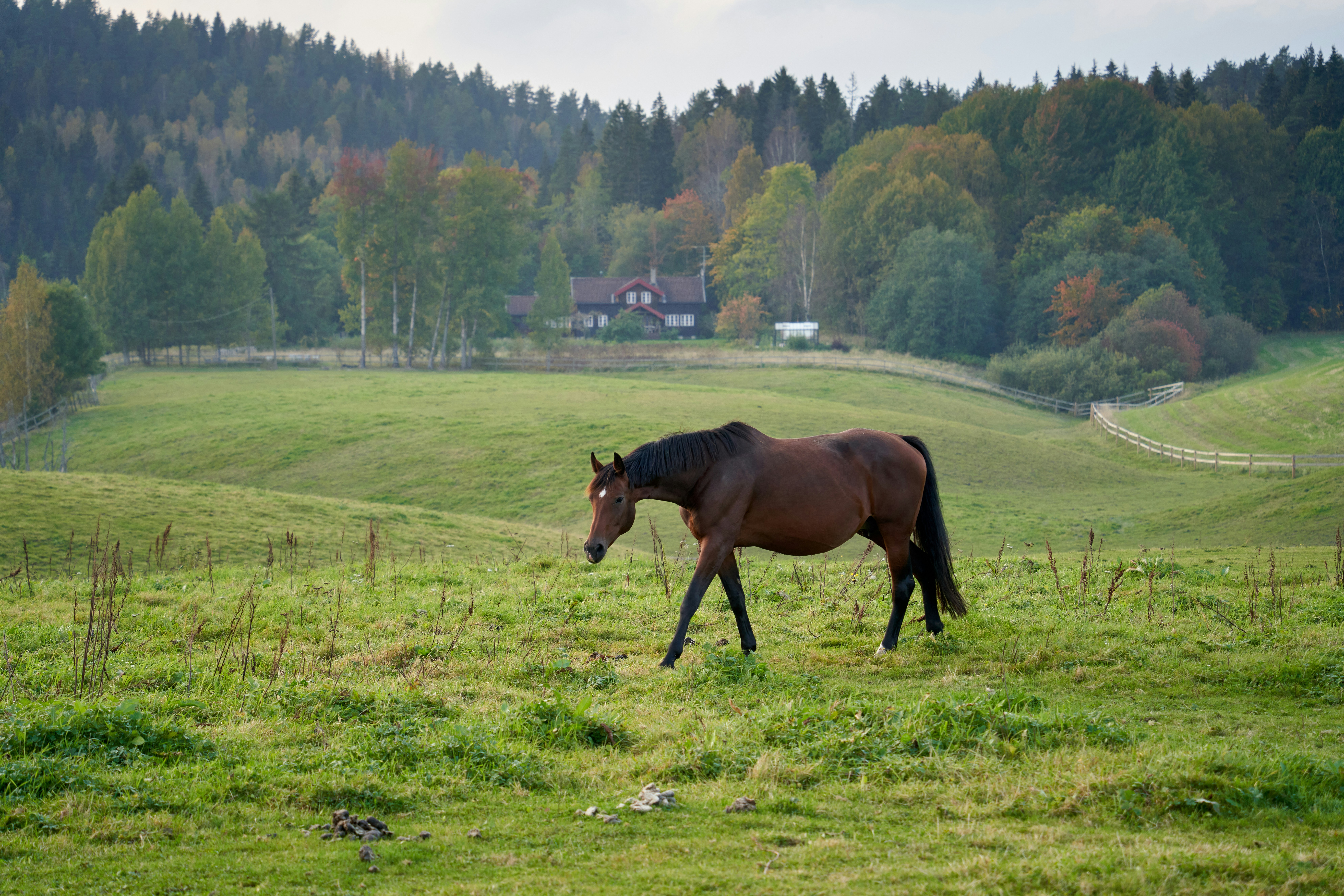 Photo by davotibarna