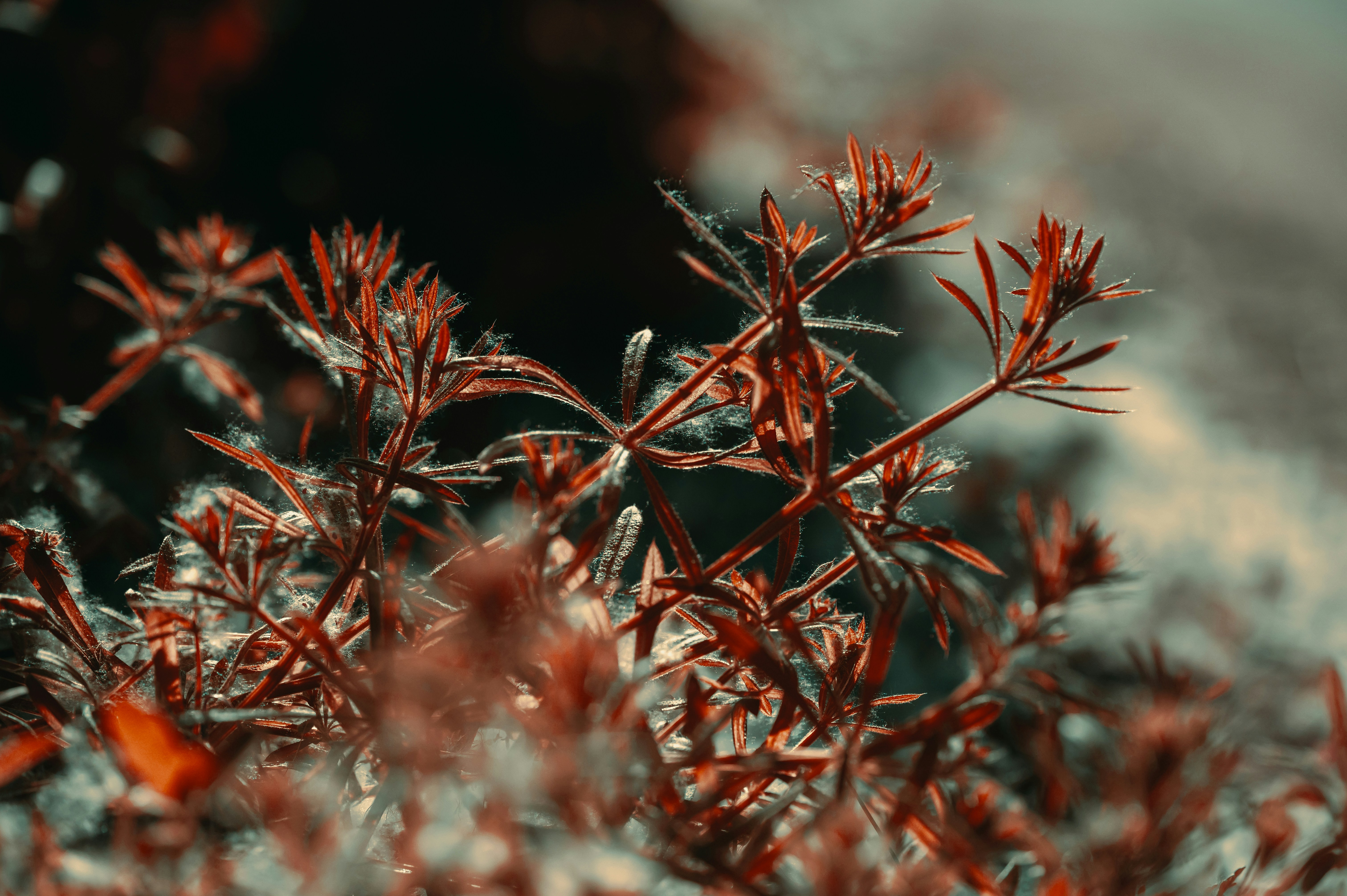 Photo by volodymyr_leush