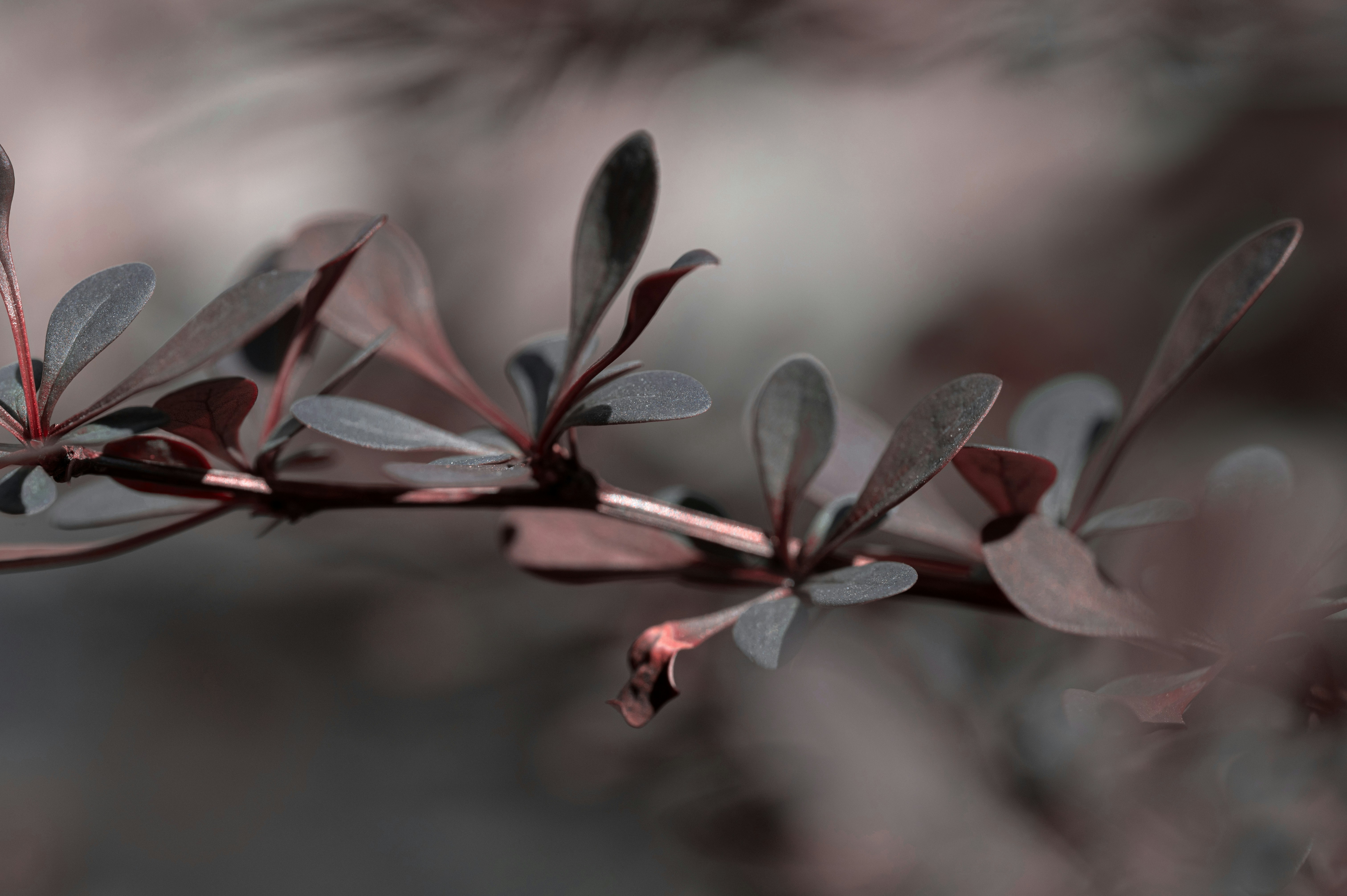 Photo by volodymyr_leush