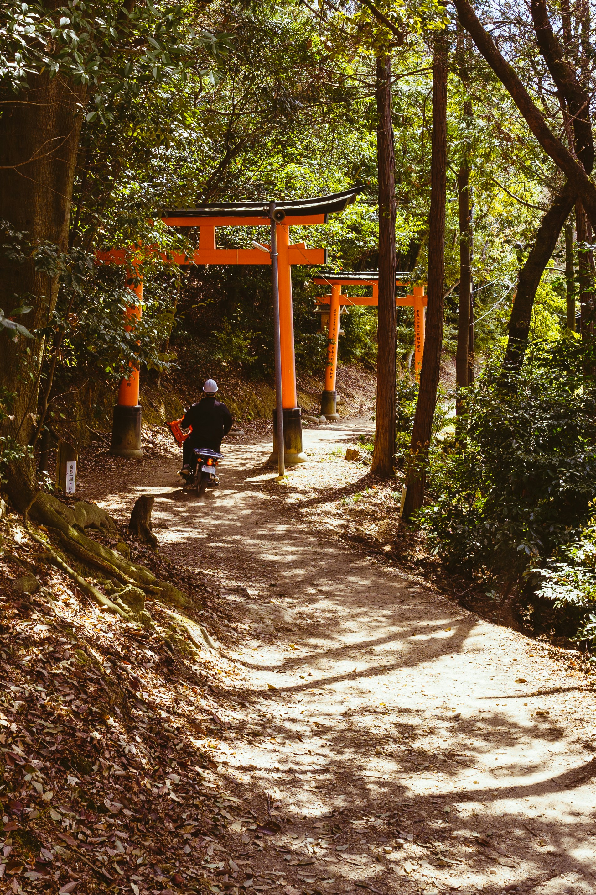 Photo by mirrors_are_more_fun