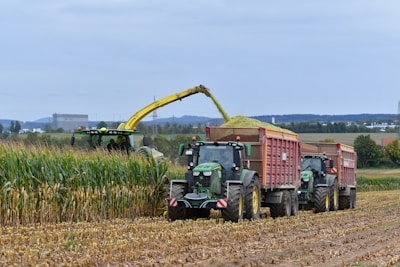 Esteira D6D Tork