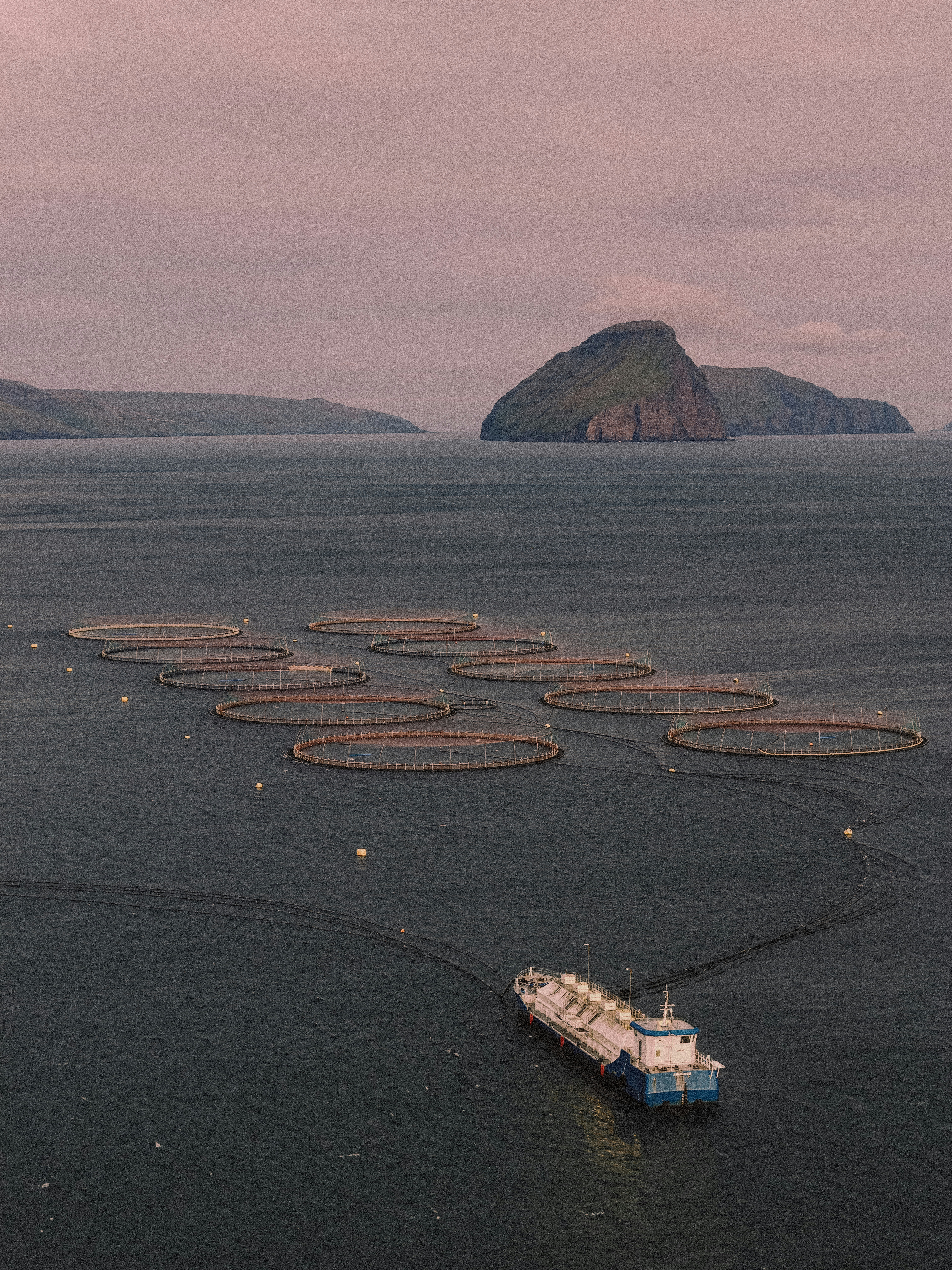 Fish farm cages and boat with islands in background