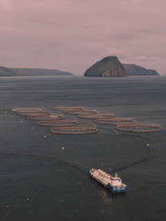 Fish farm cages and boat with islands in background