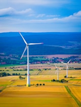 Wind turbines stand in a golden field under blue sky.