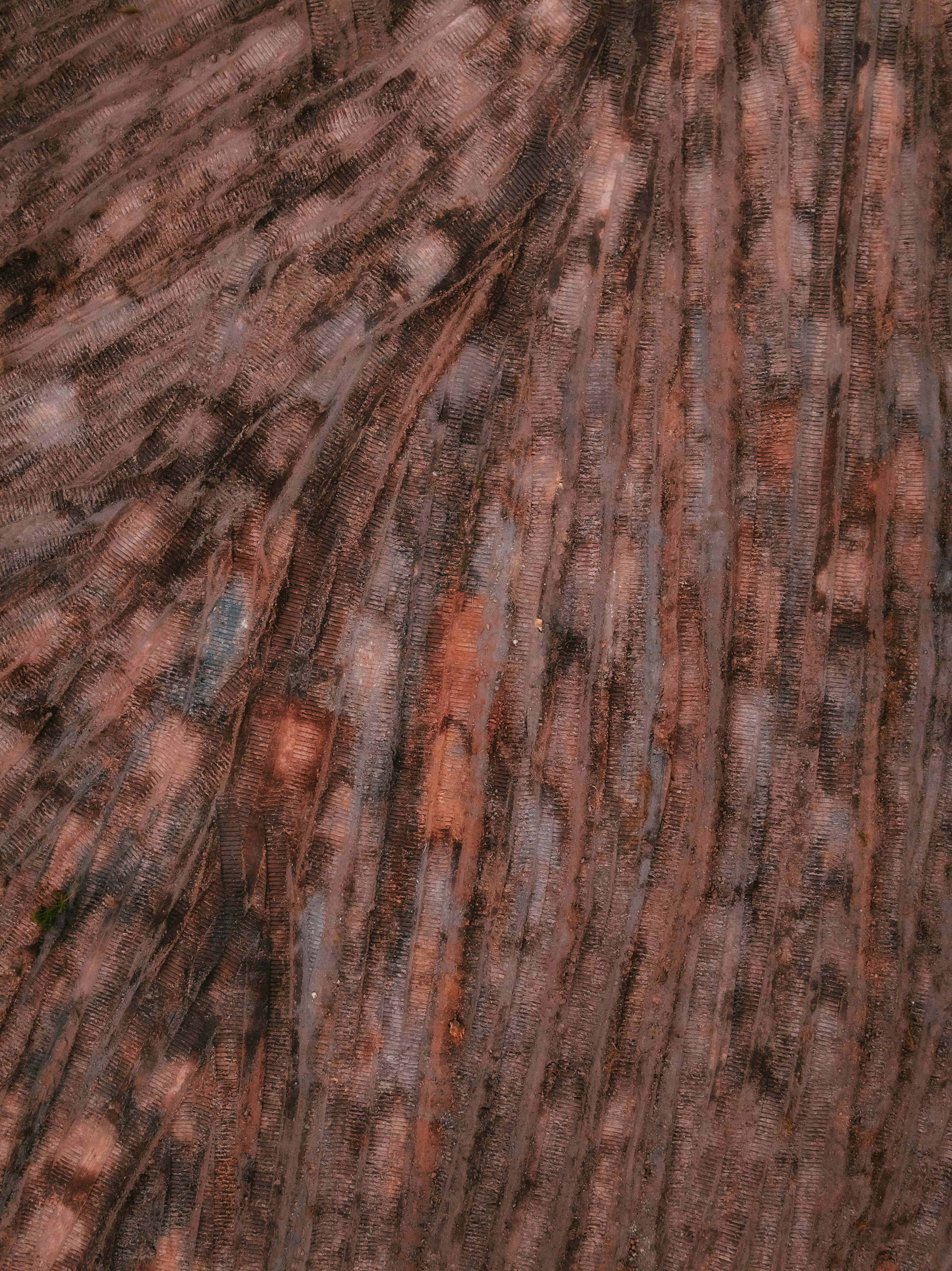 Close-up of a textured brown and black surface.