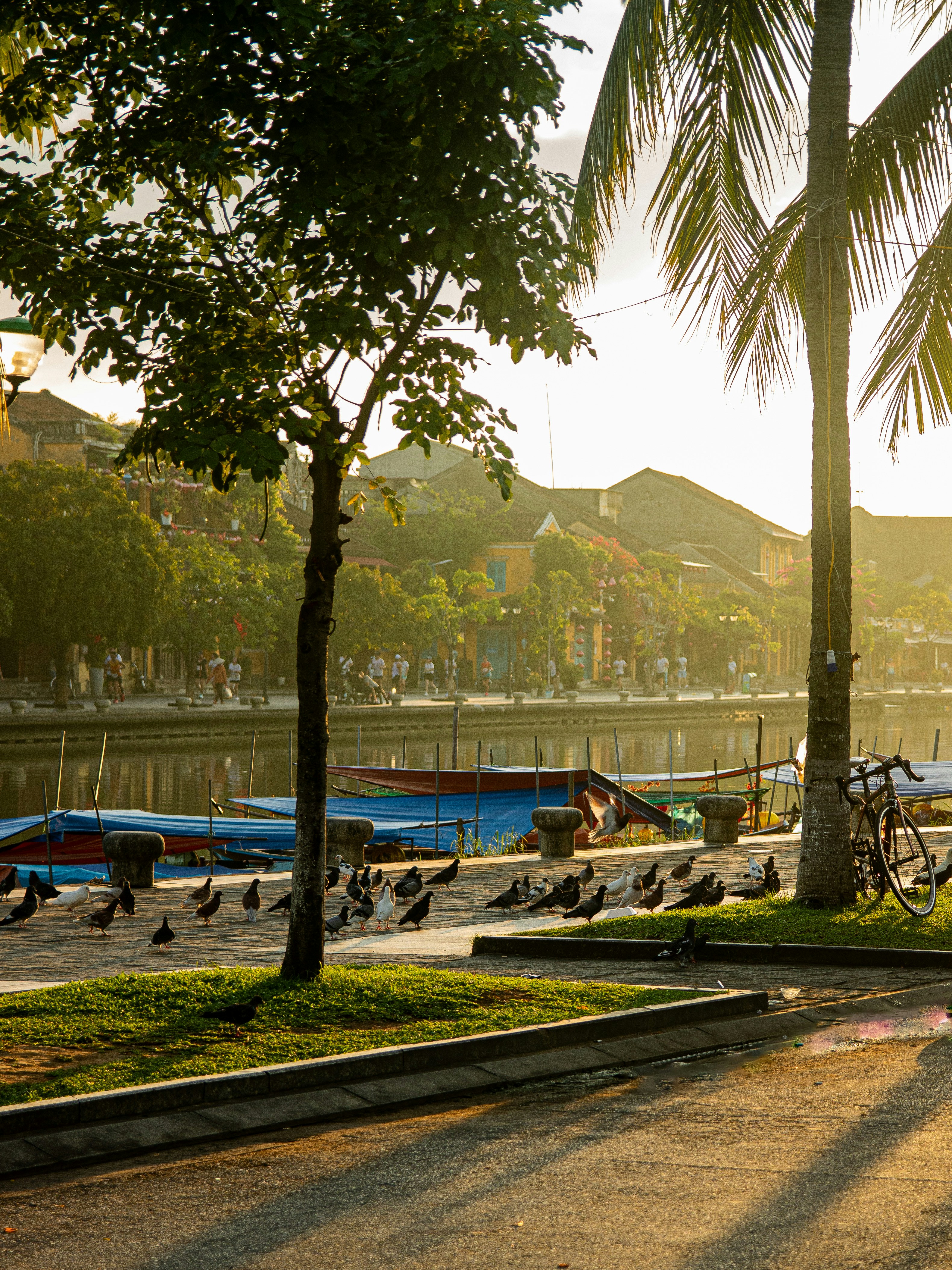 Photo by conghiep1604