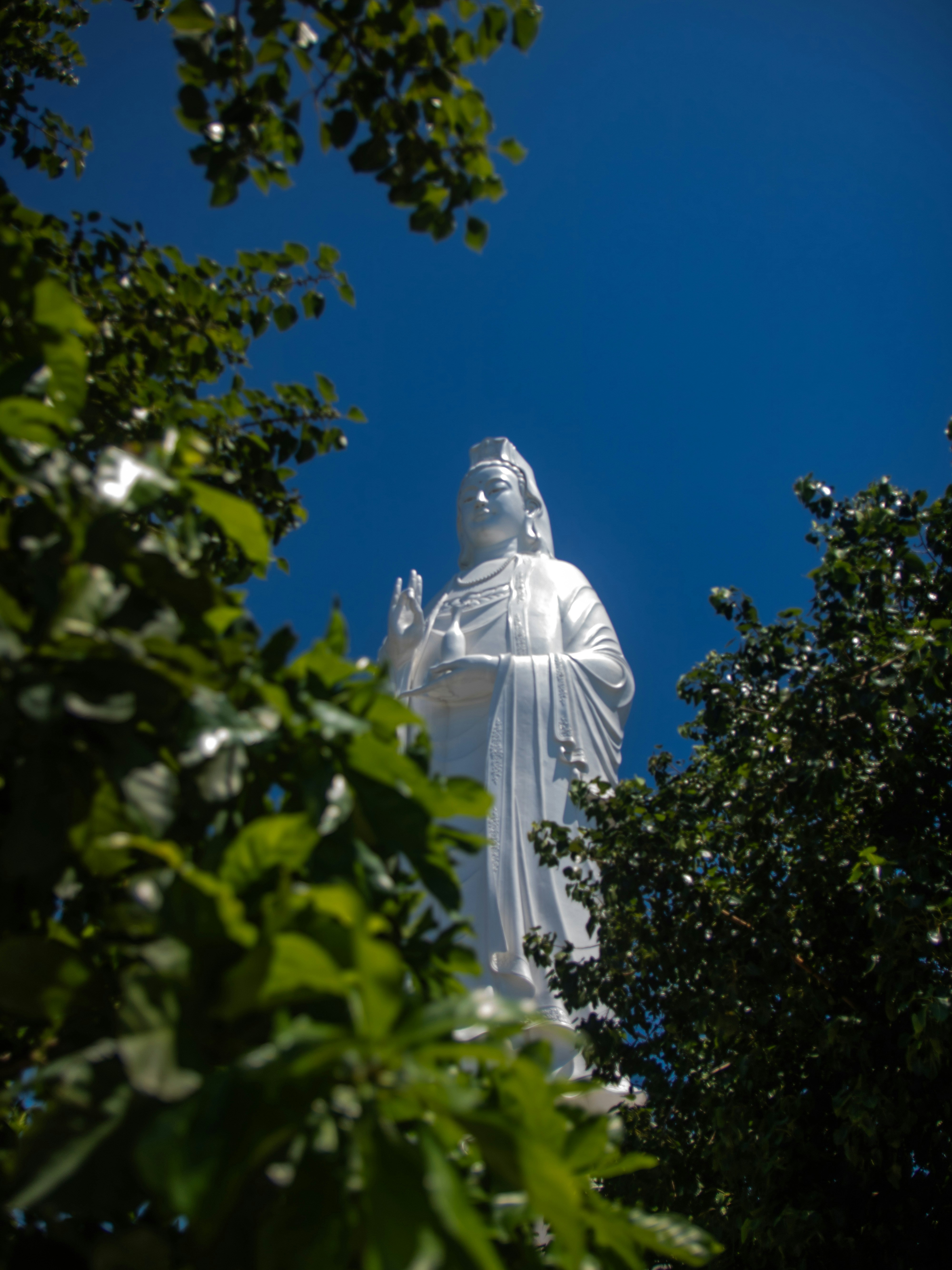 Photo by conghiep1604