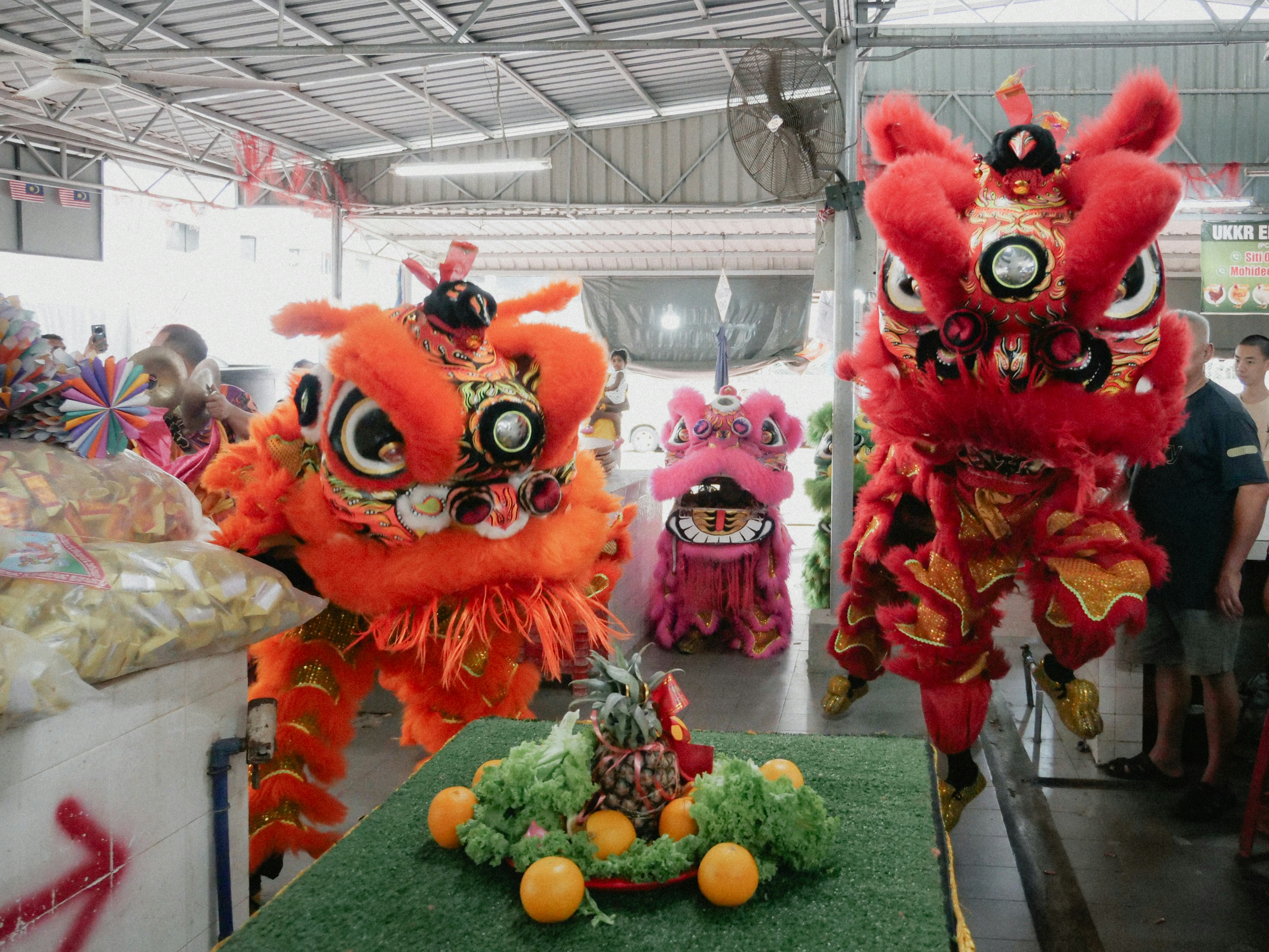 Lion dance