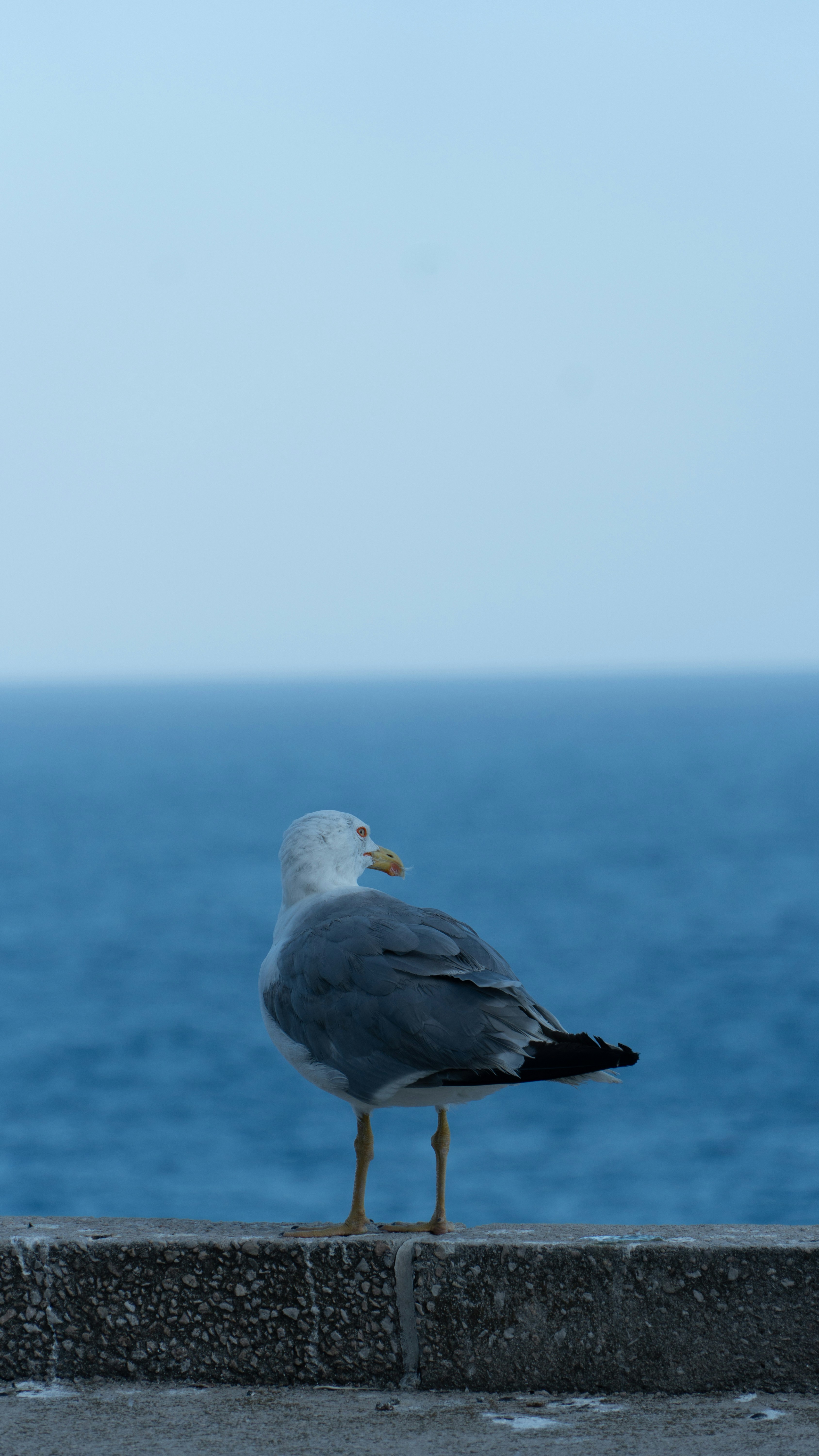 Photo by alexghiurau