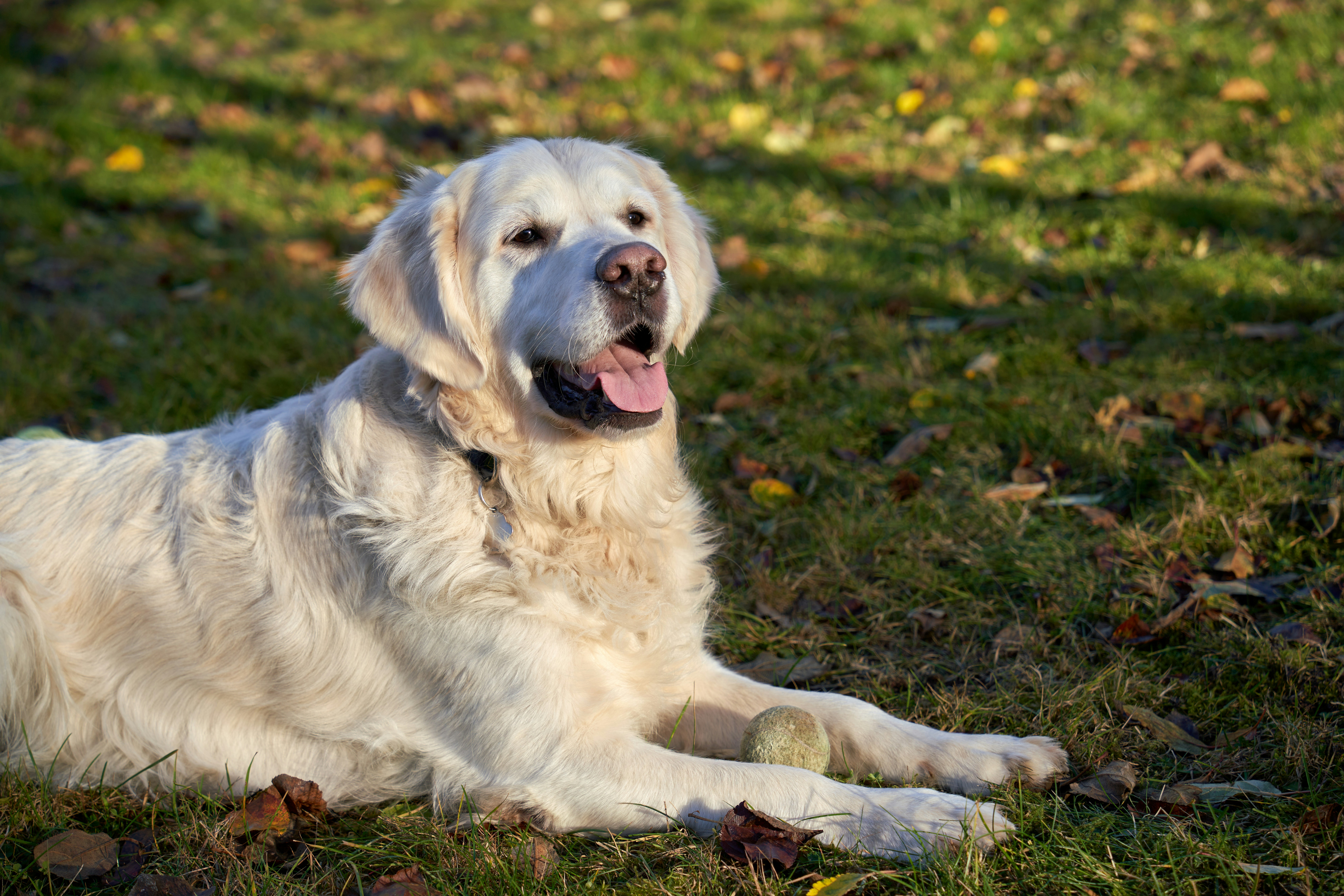 Photo by davotibarna