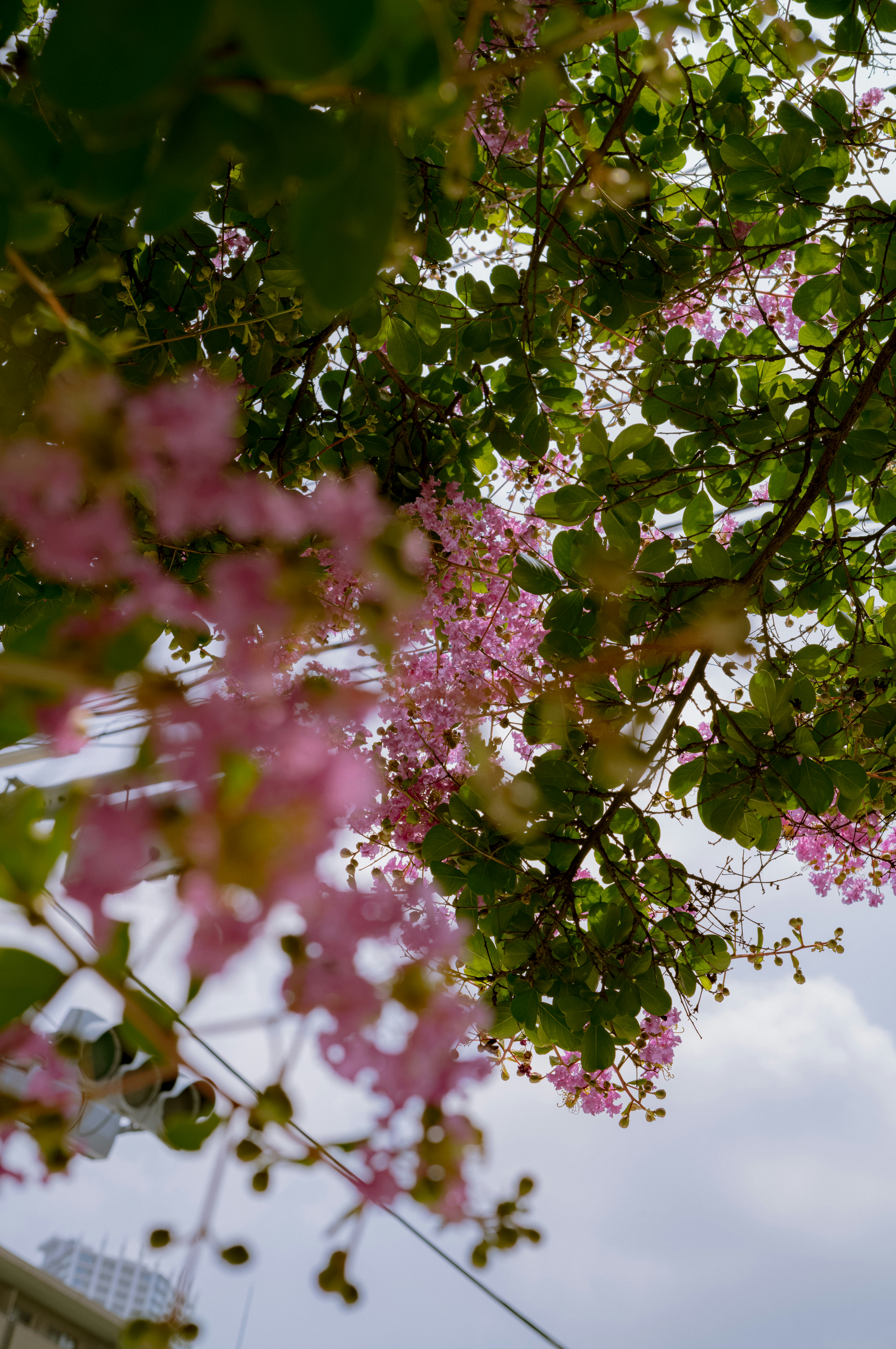 Photo by yourboyhood