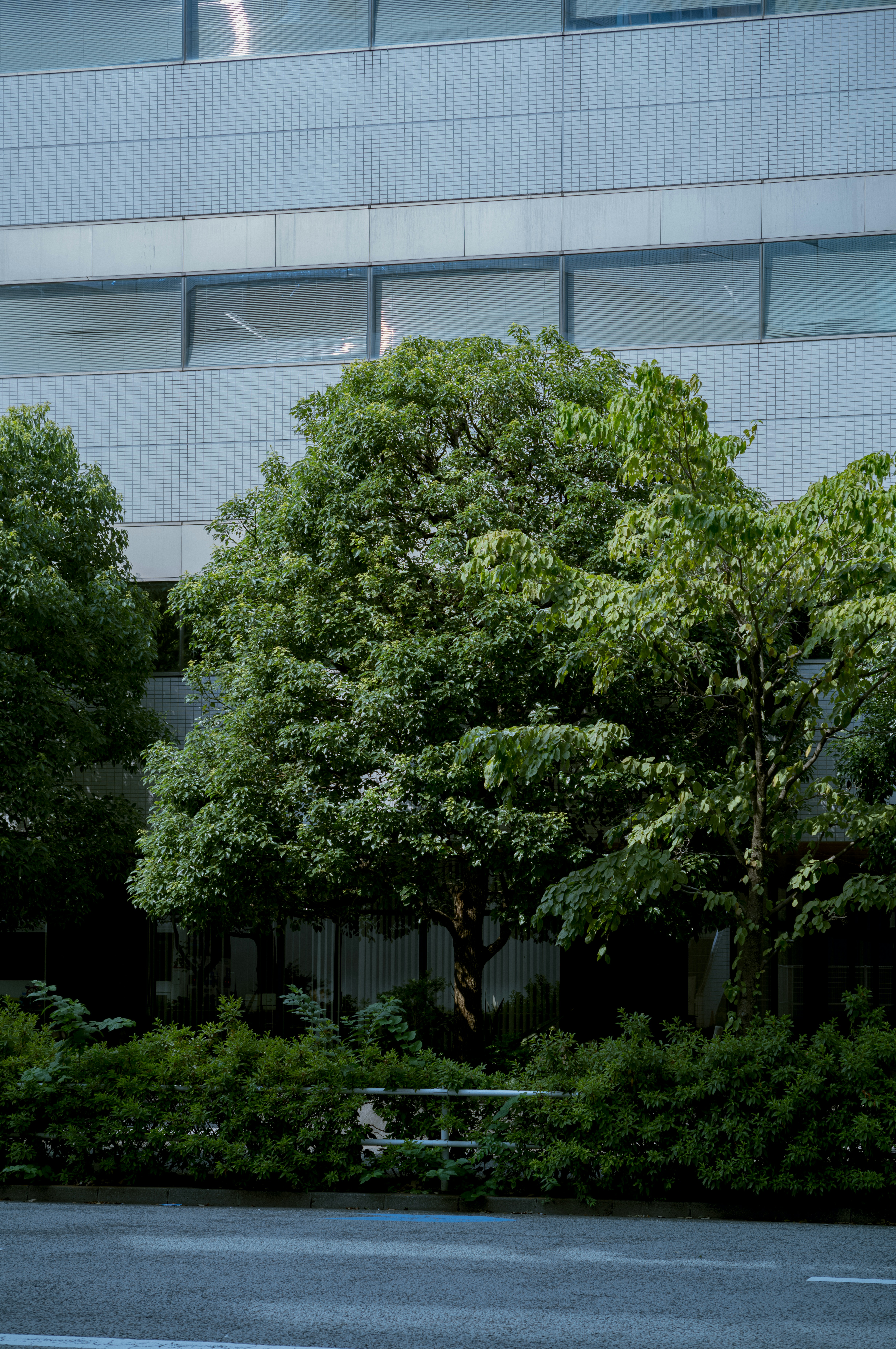 Photo by yourboyhood