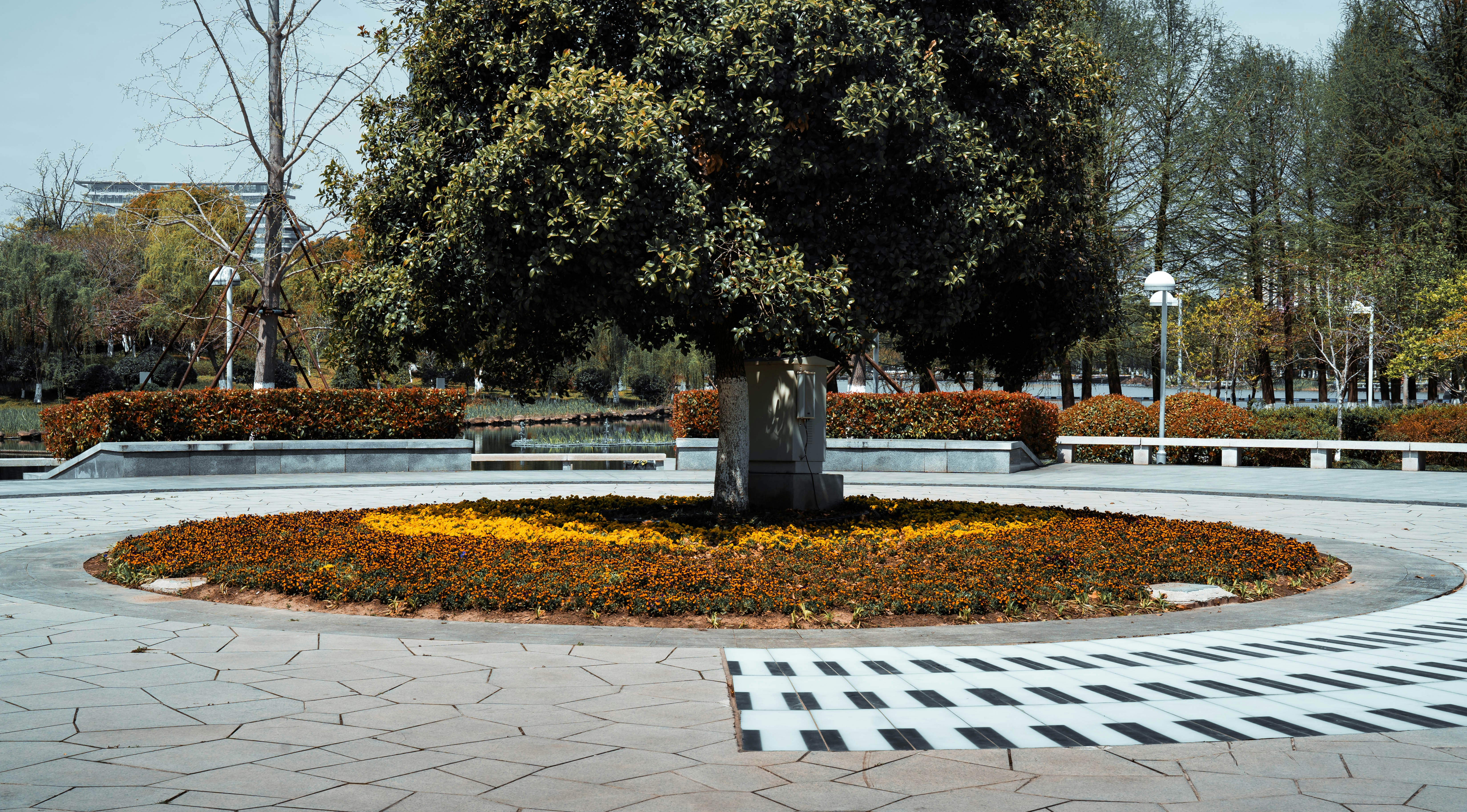 Gran árbol en un jardín circular con flores.