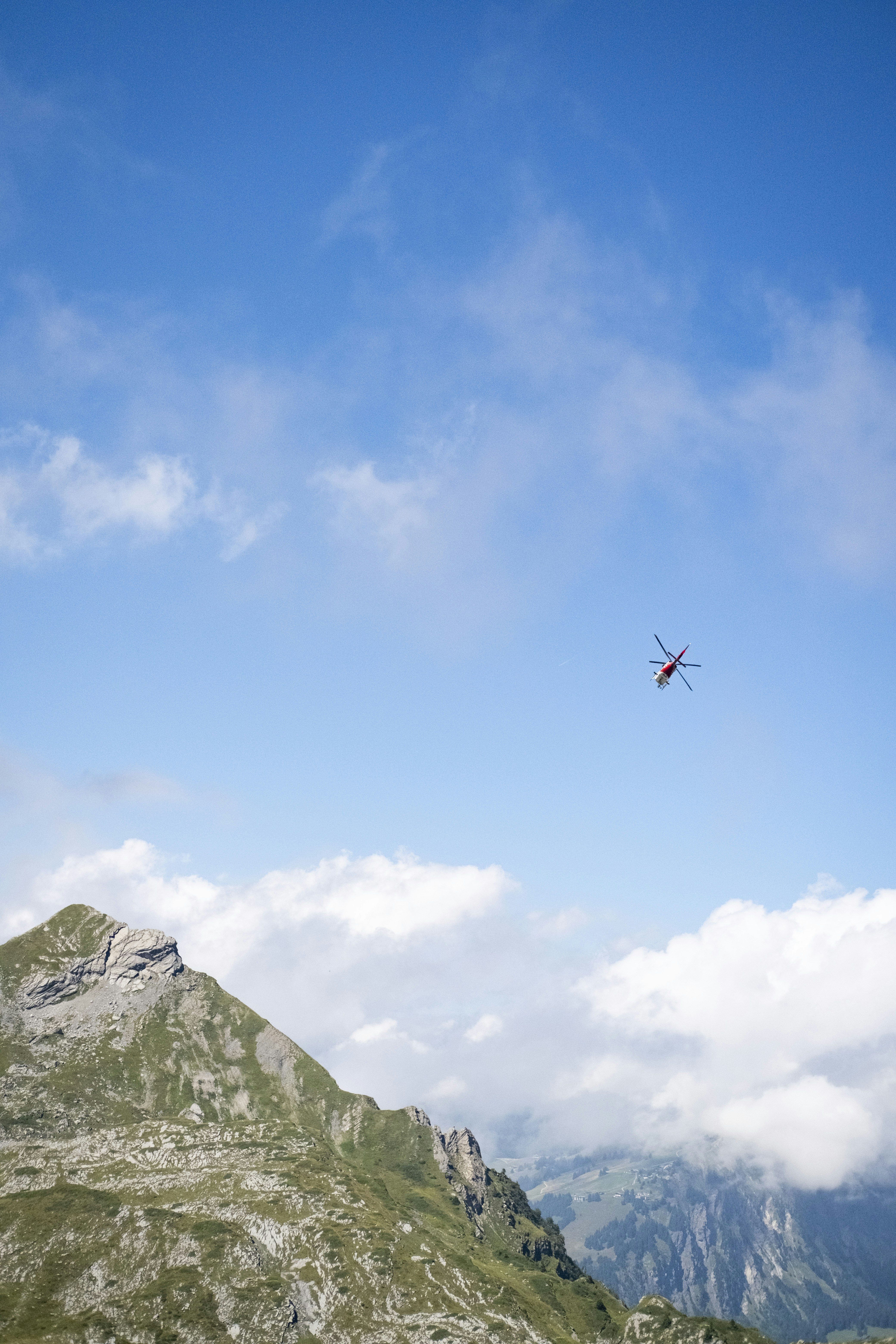 Photo by ivosouzamartins