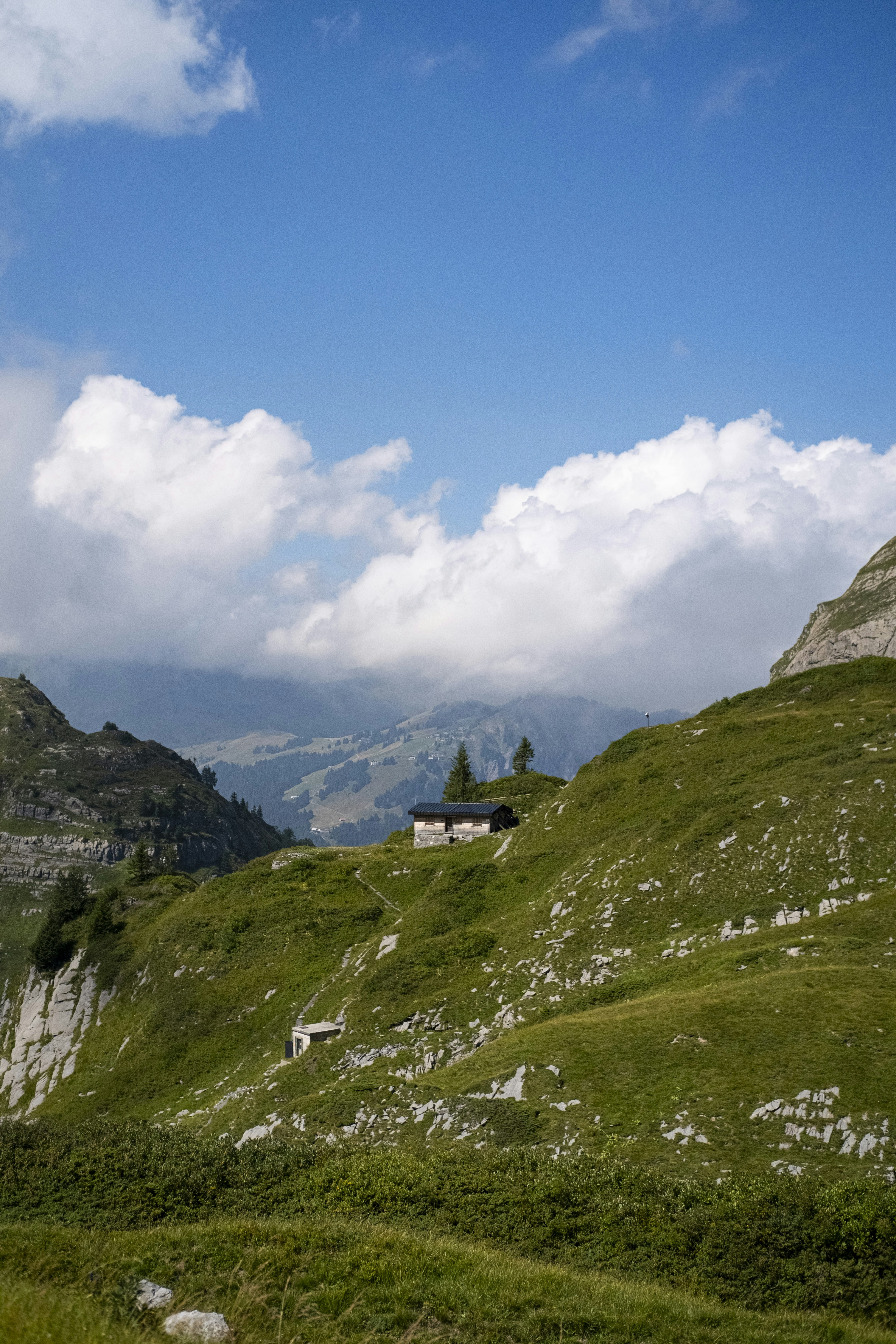 Photo by ivosouzamartins