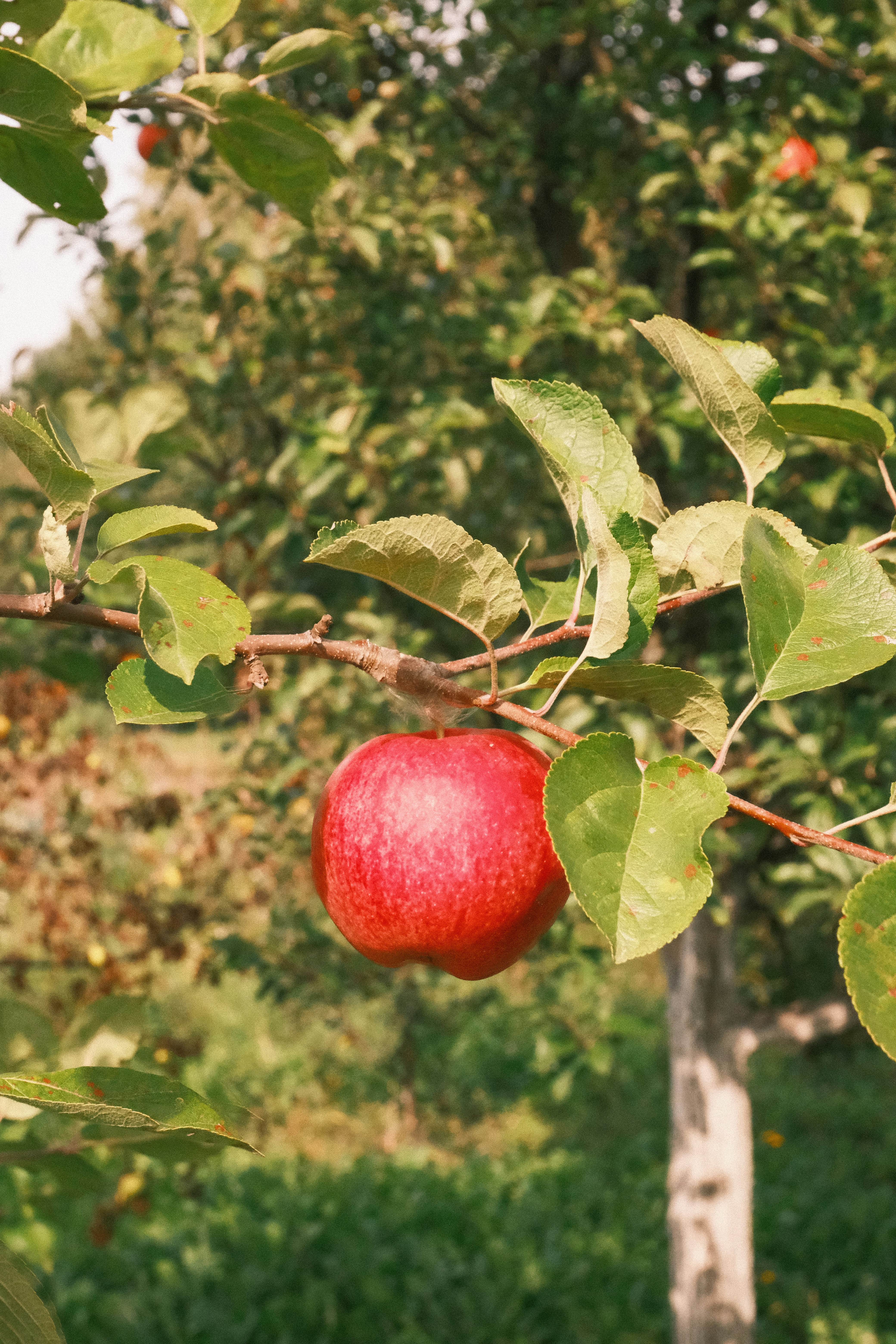 Photo by tatianarudneva