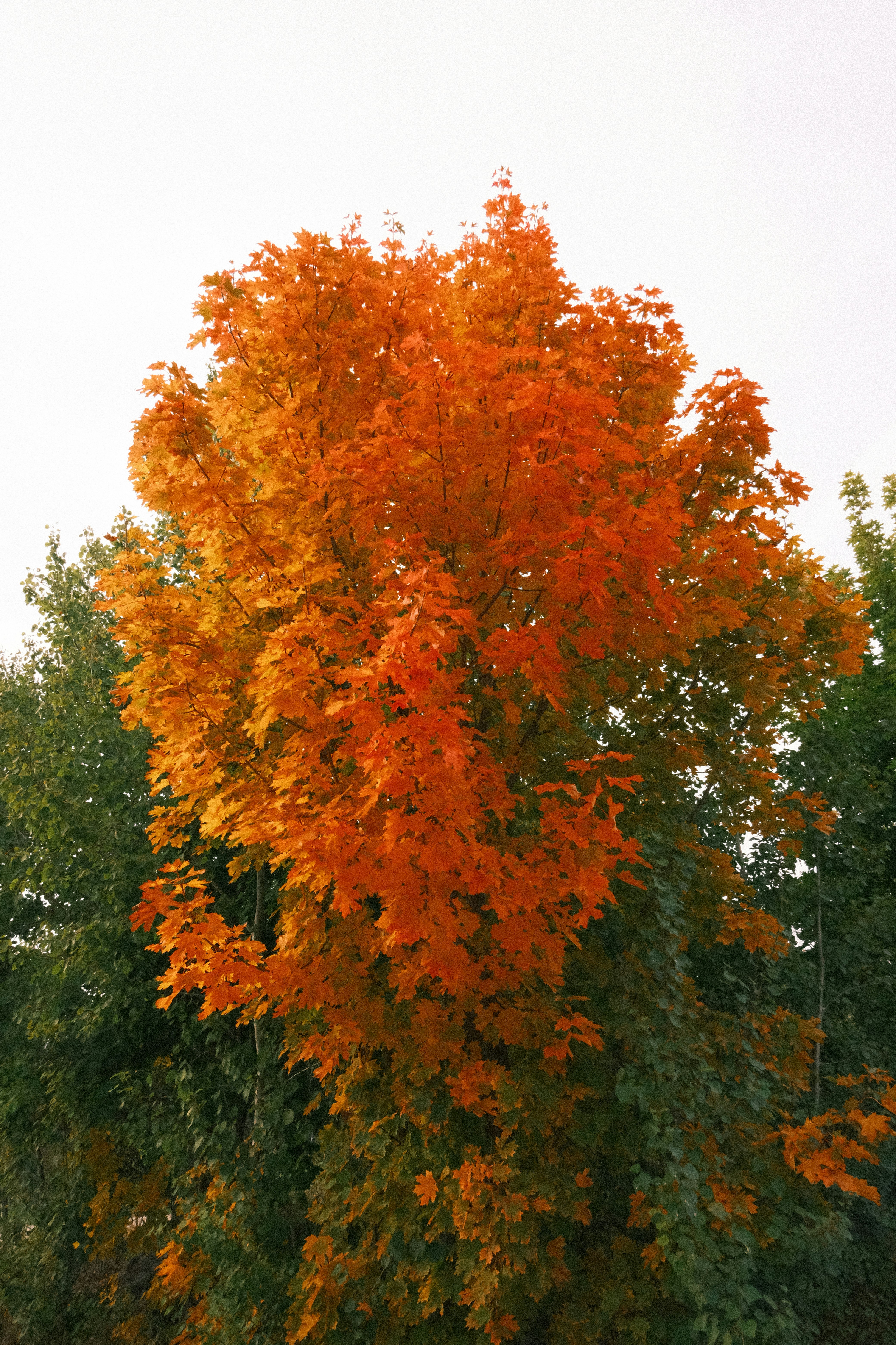 Photo by tatianarudneva