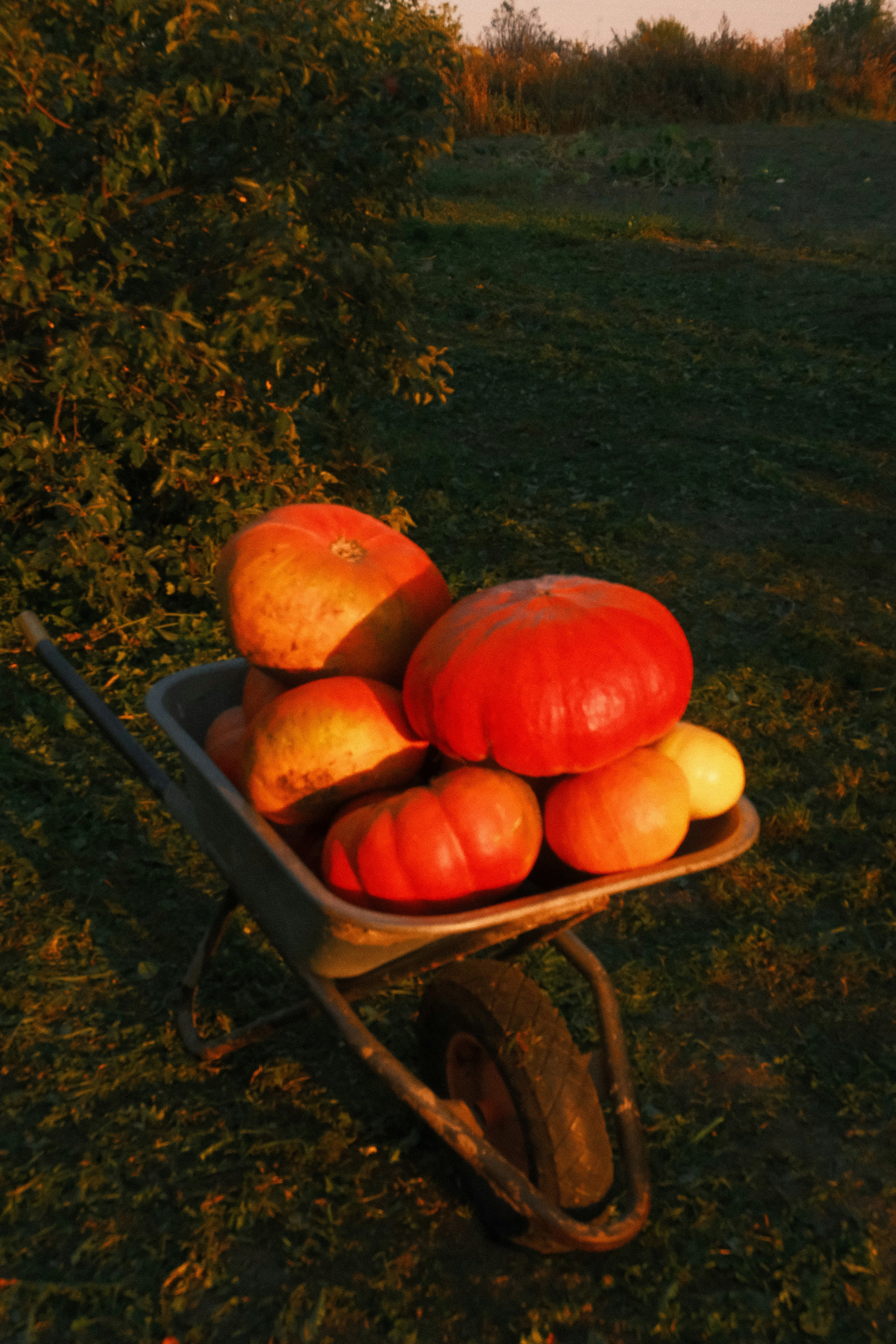 Photo by tatianarudneva