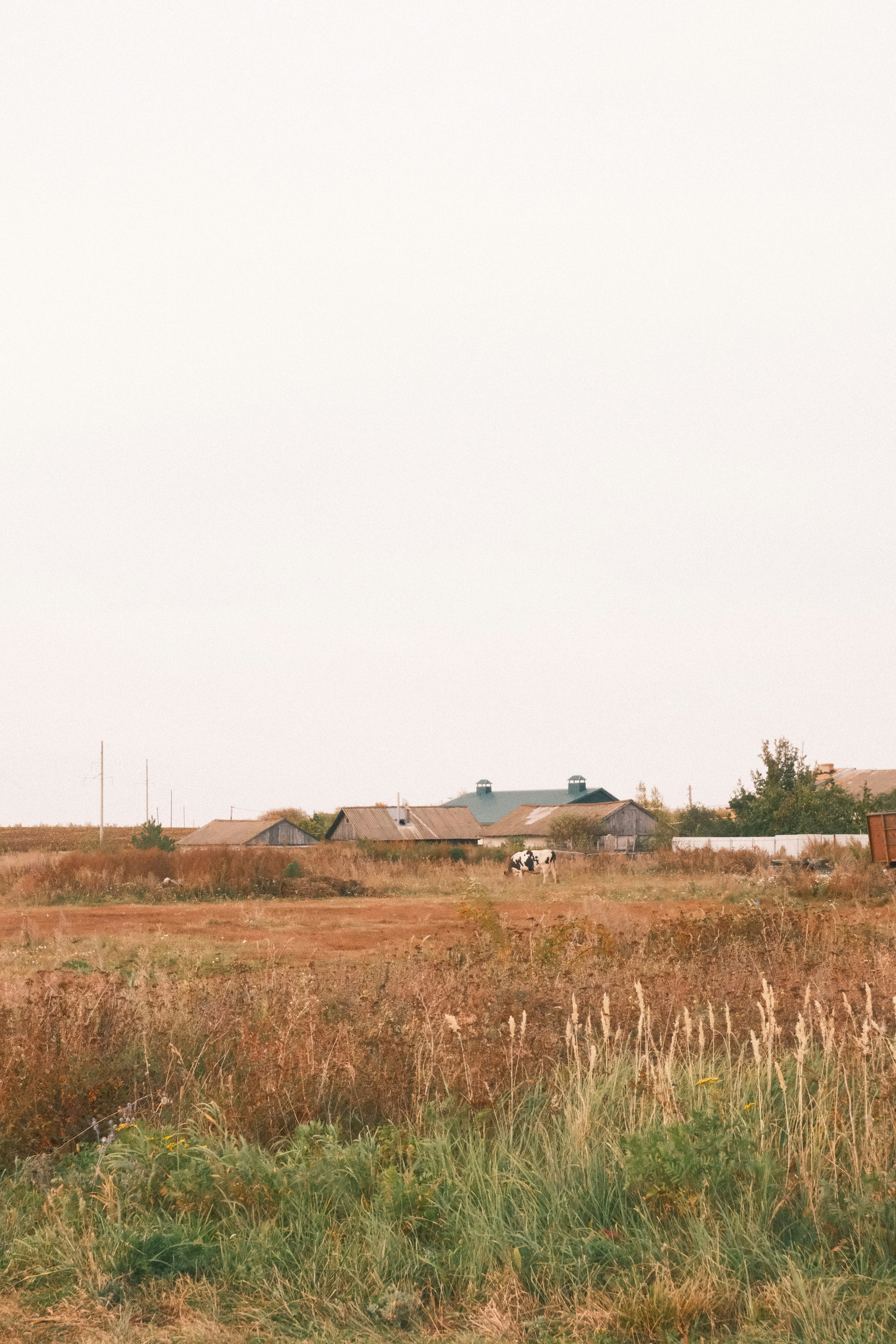 Photo by tatianarudneva