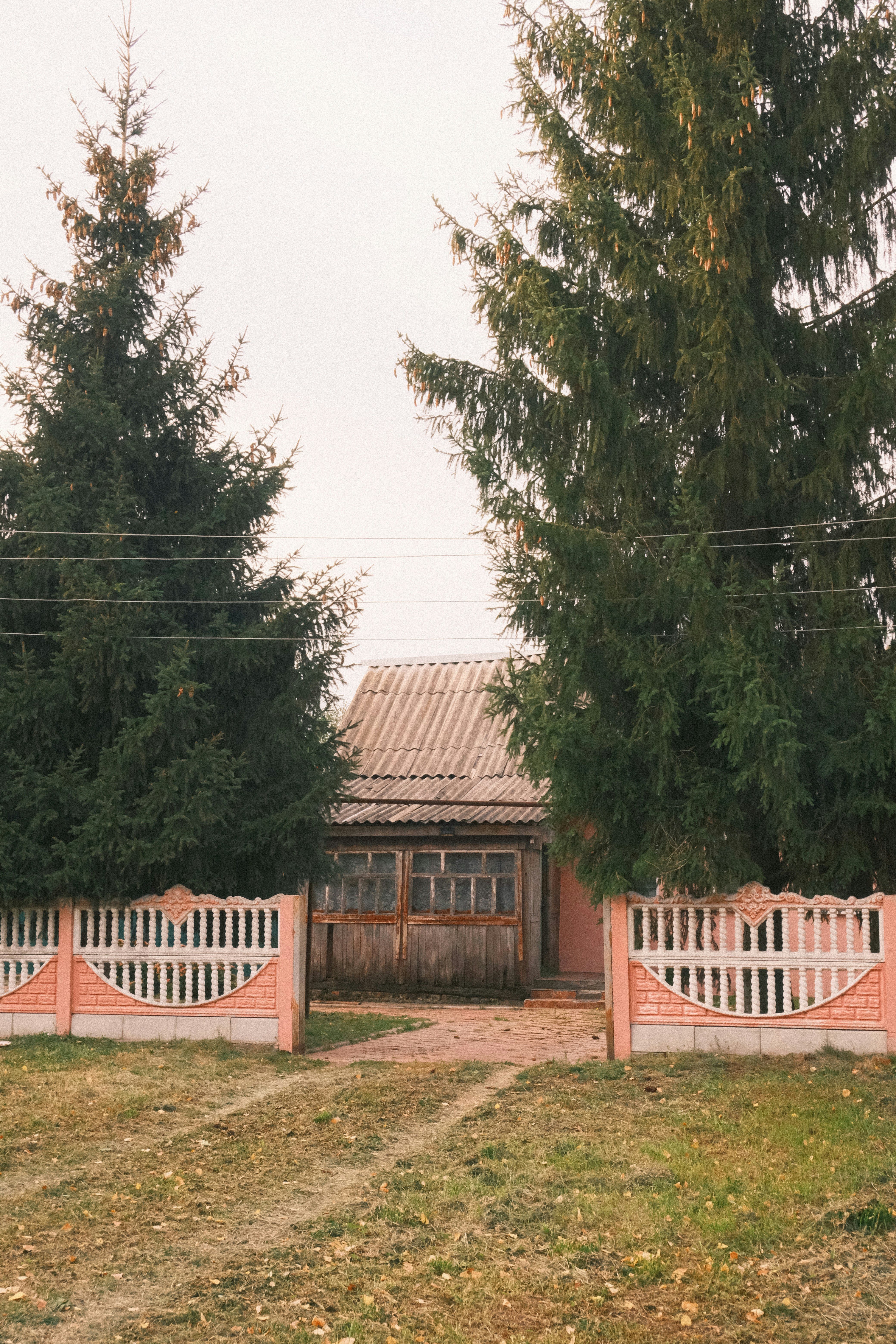 Photo by tatianarudneva