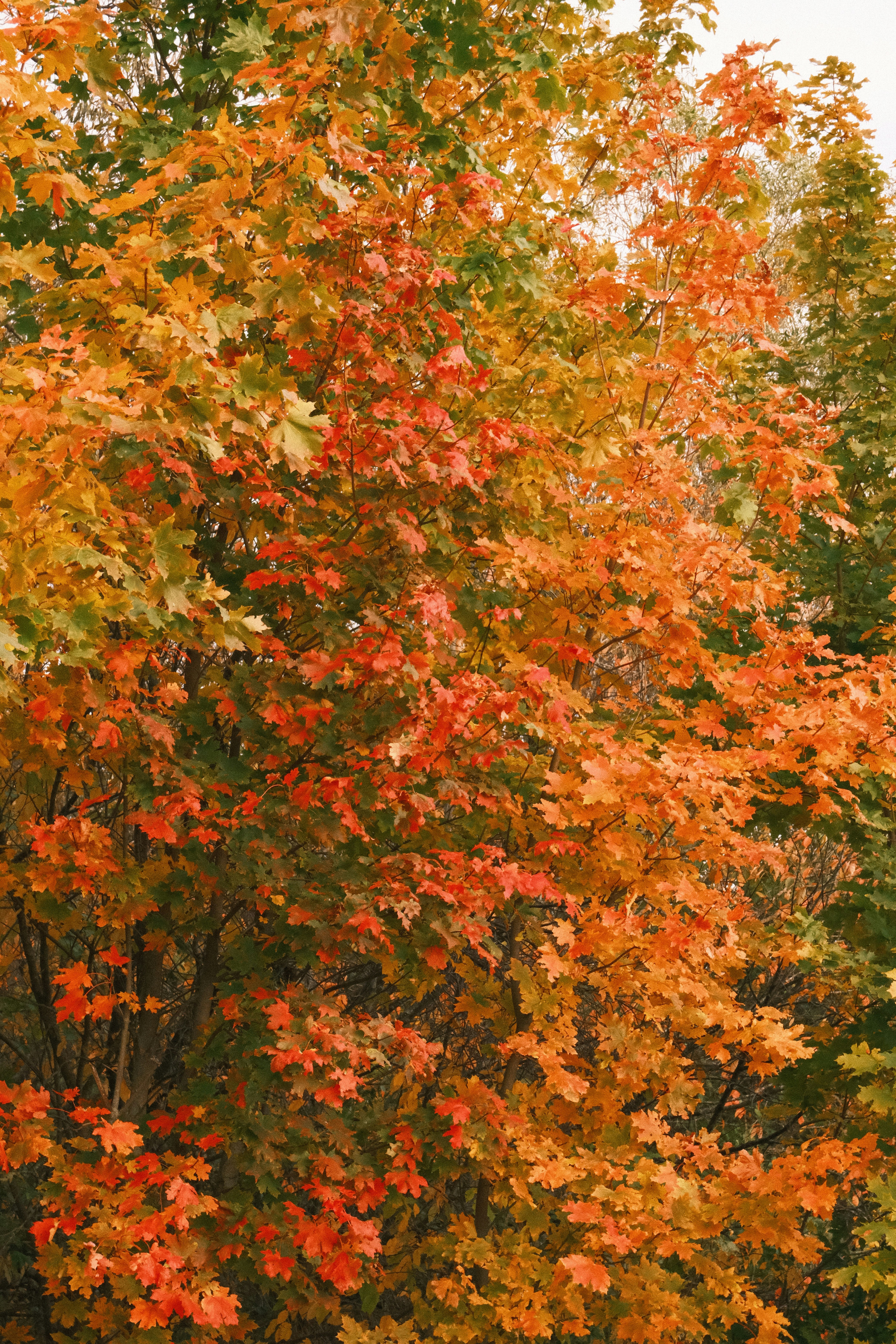 Photo by tatianarudneva