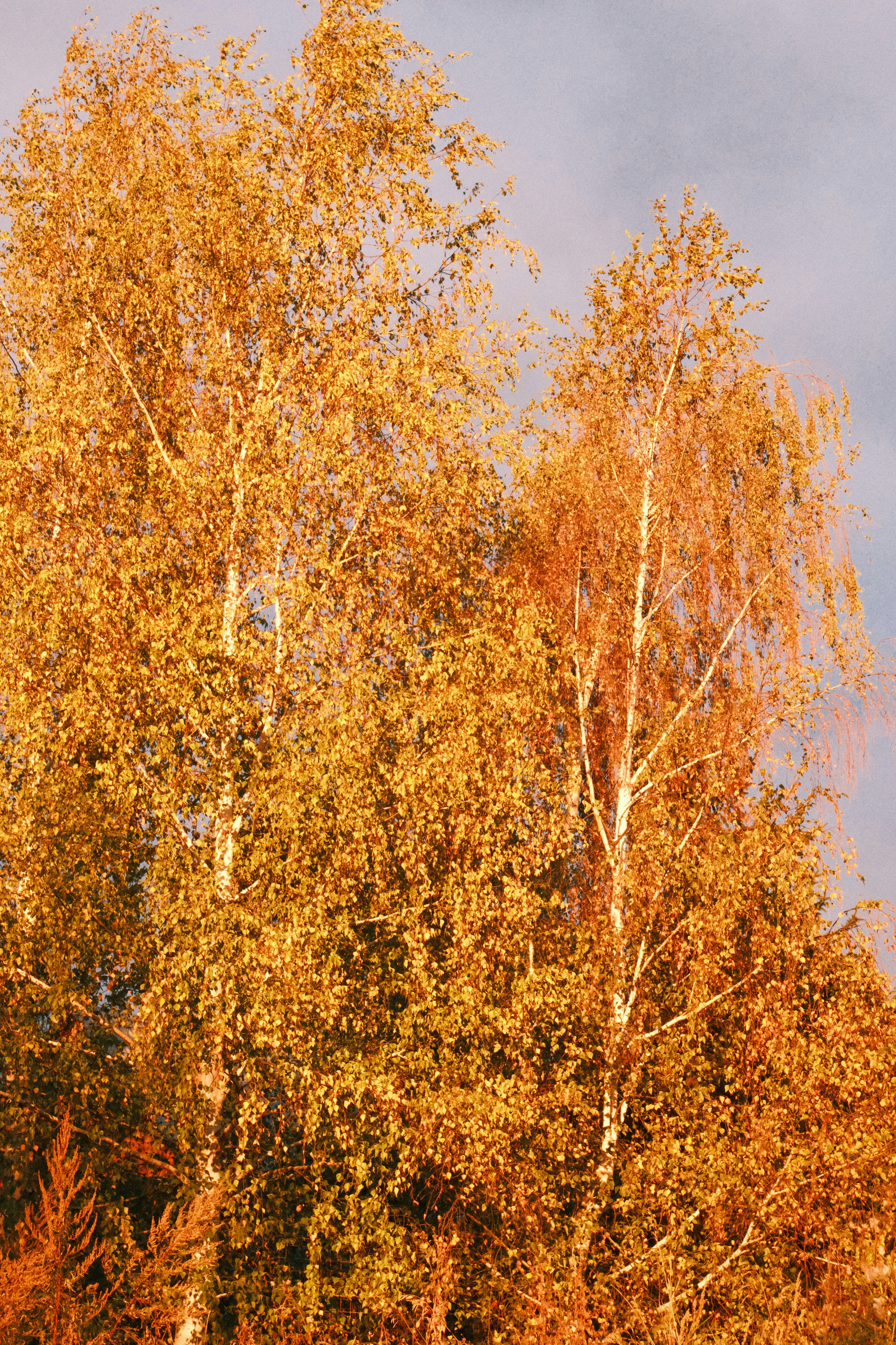 Photo by tatianarudneva