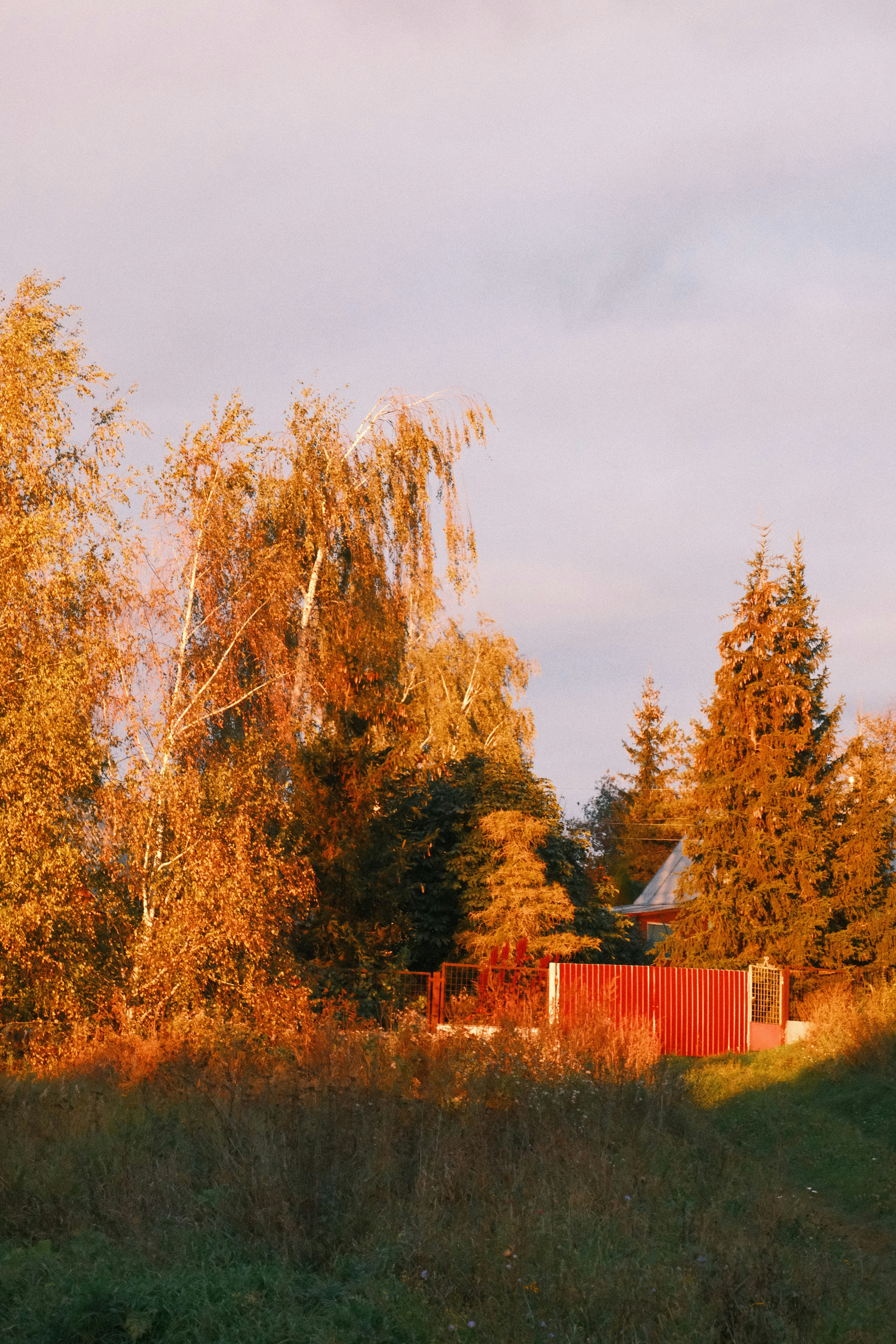 Photo by tatianarudneva