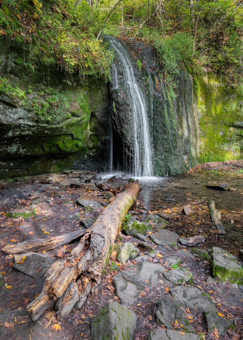 A waterfall cascades through mossy rocks in a restored woodland.