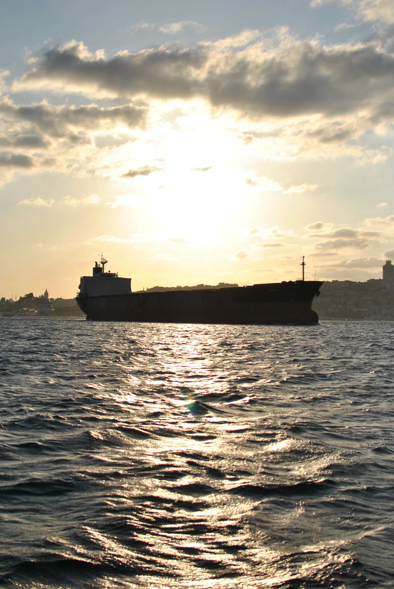 Cargo ship transporting grain and feed ingredients at sunset