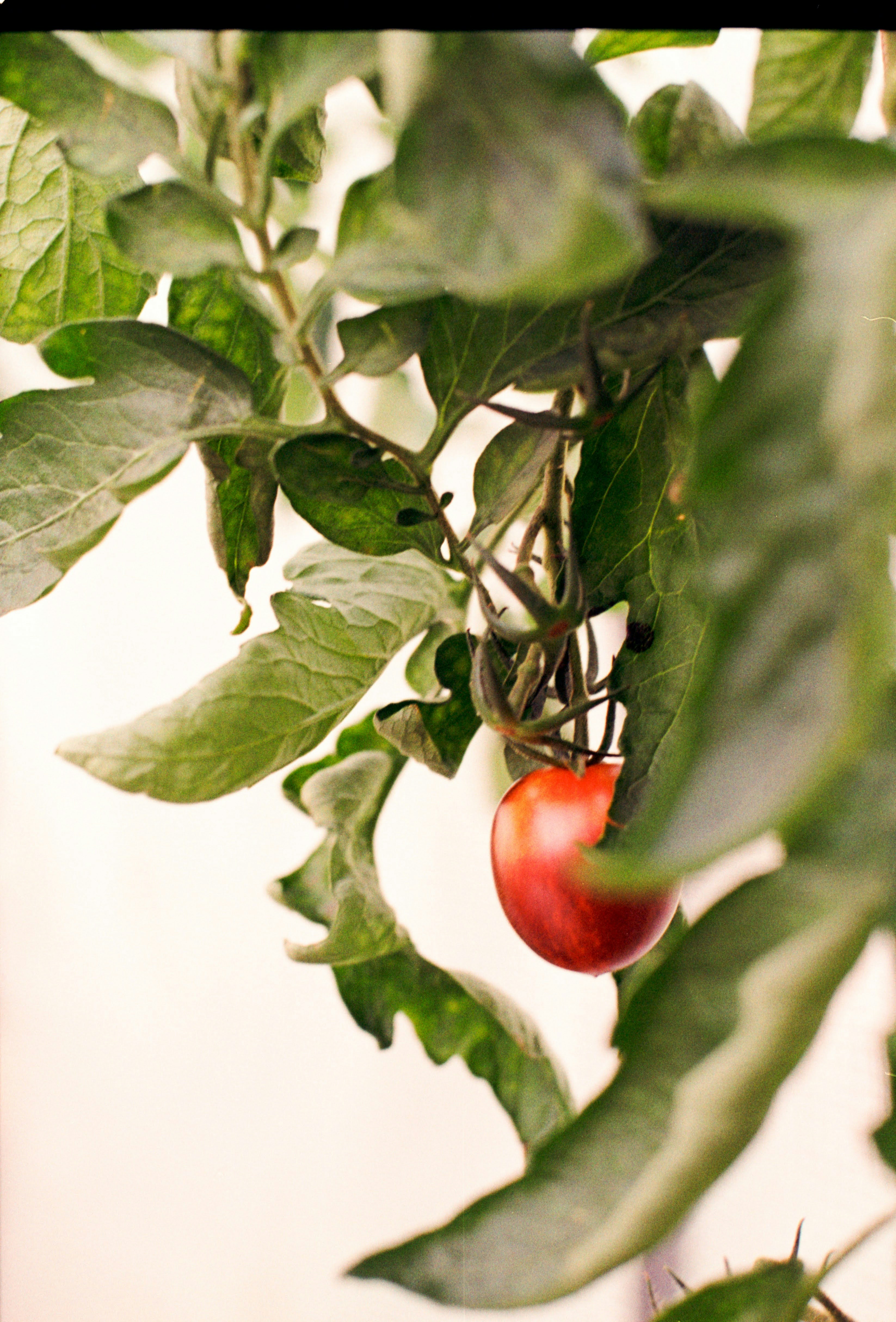 Photo by chrisvomradio