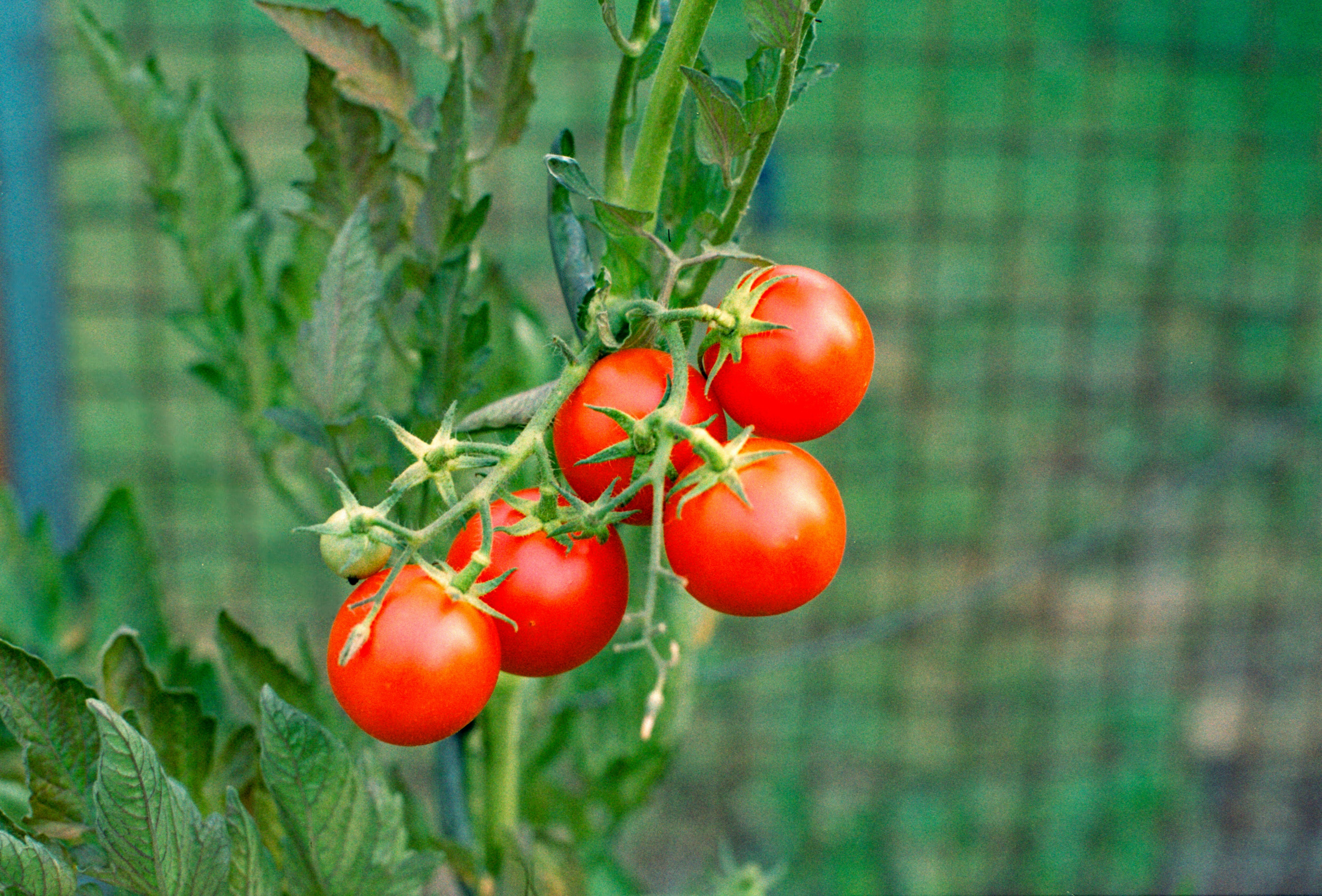 Photo by chrisvomradio