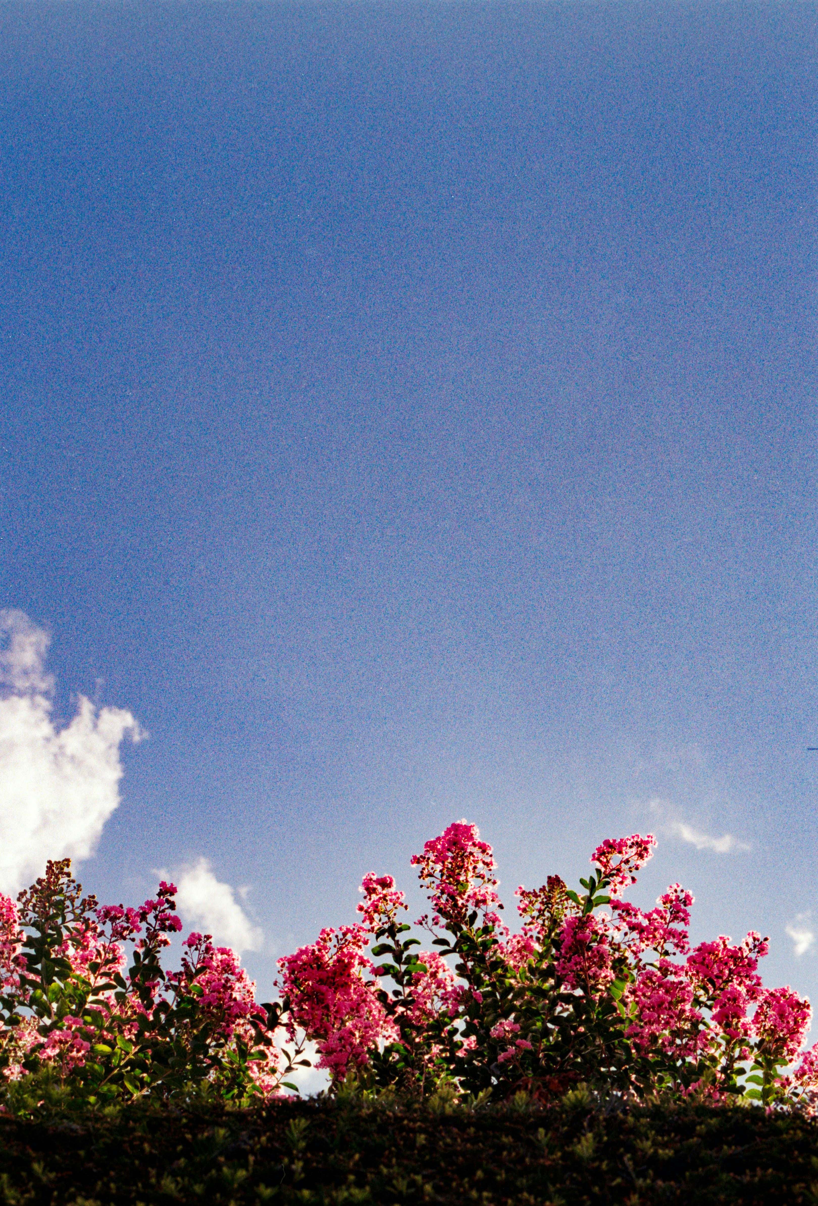 Photo by chrisvomradio