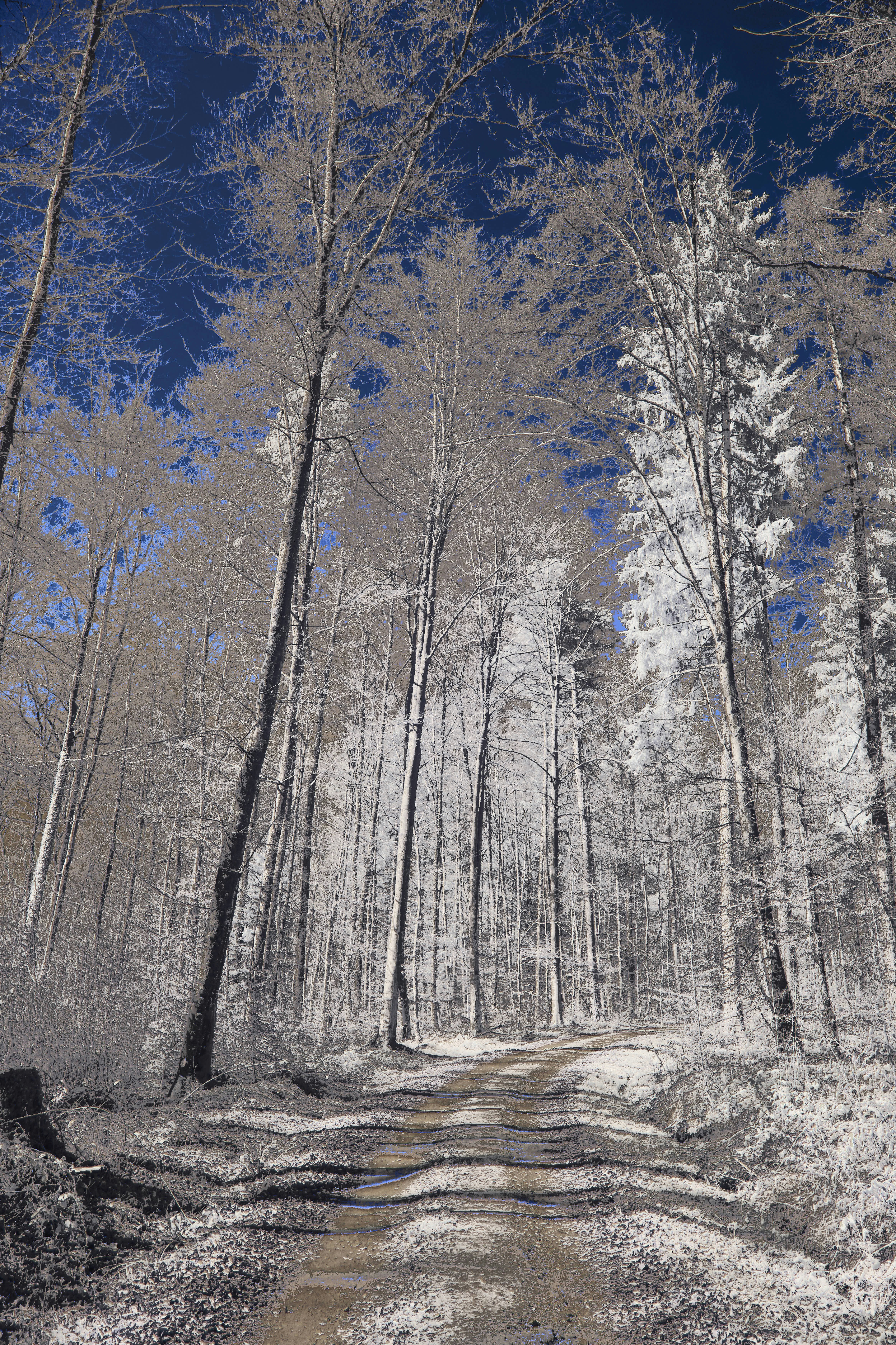 Photo by wolfgang_hasselmann