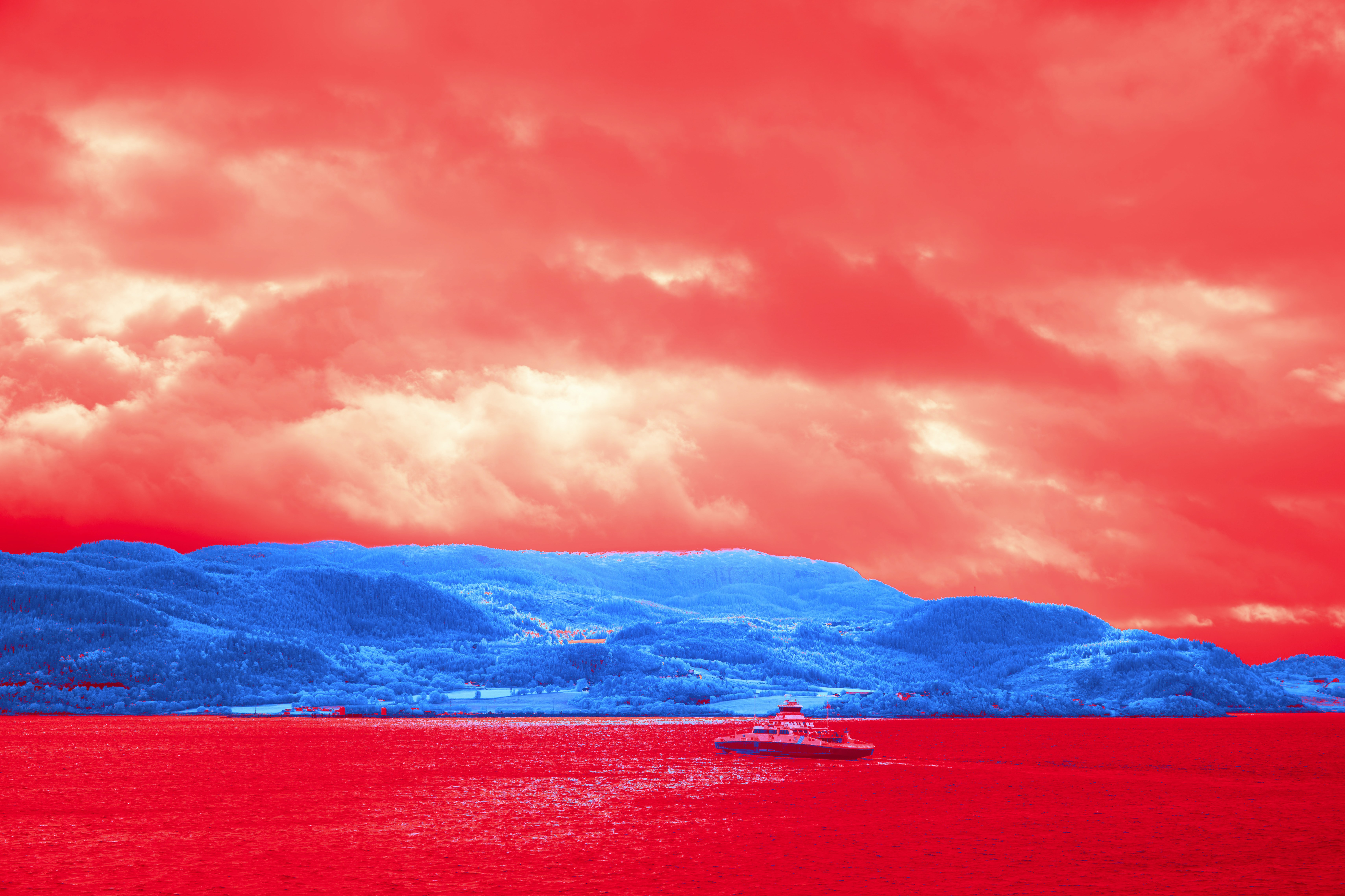 Photo by wolfgang_hasselmann