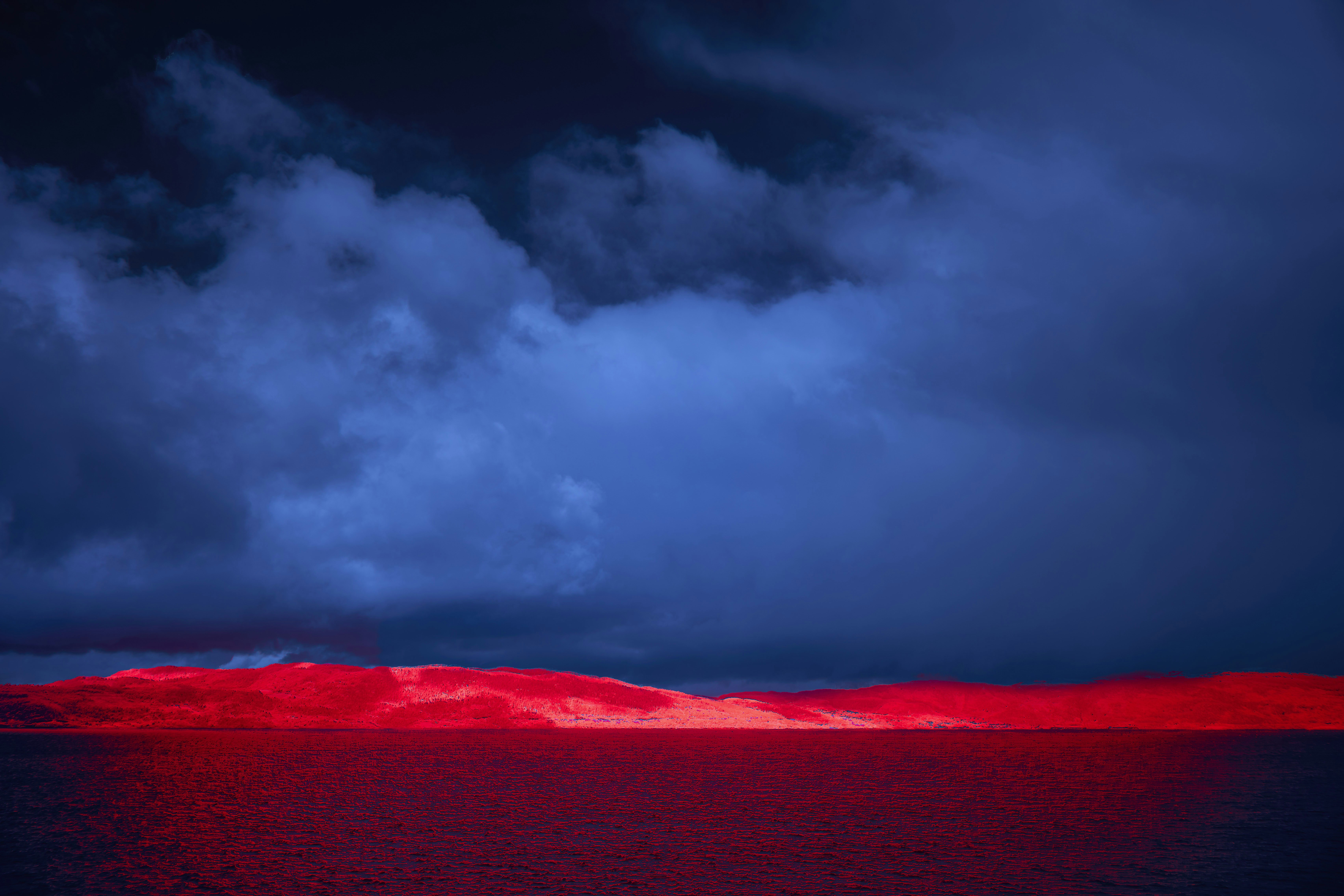 Photo by wolfgang_hasselmann