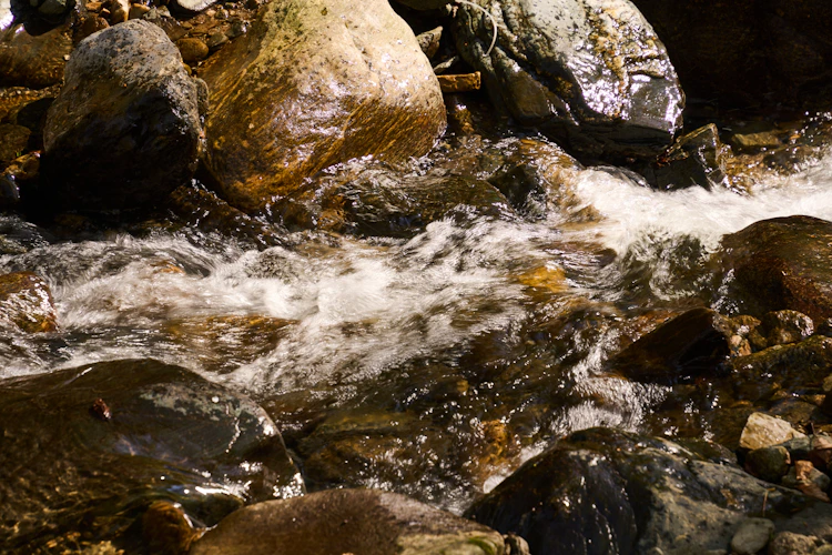 clear water flowing over rocks — reading a mountain stream