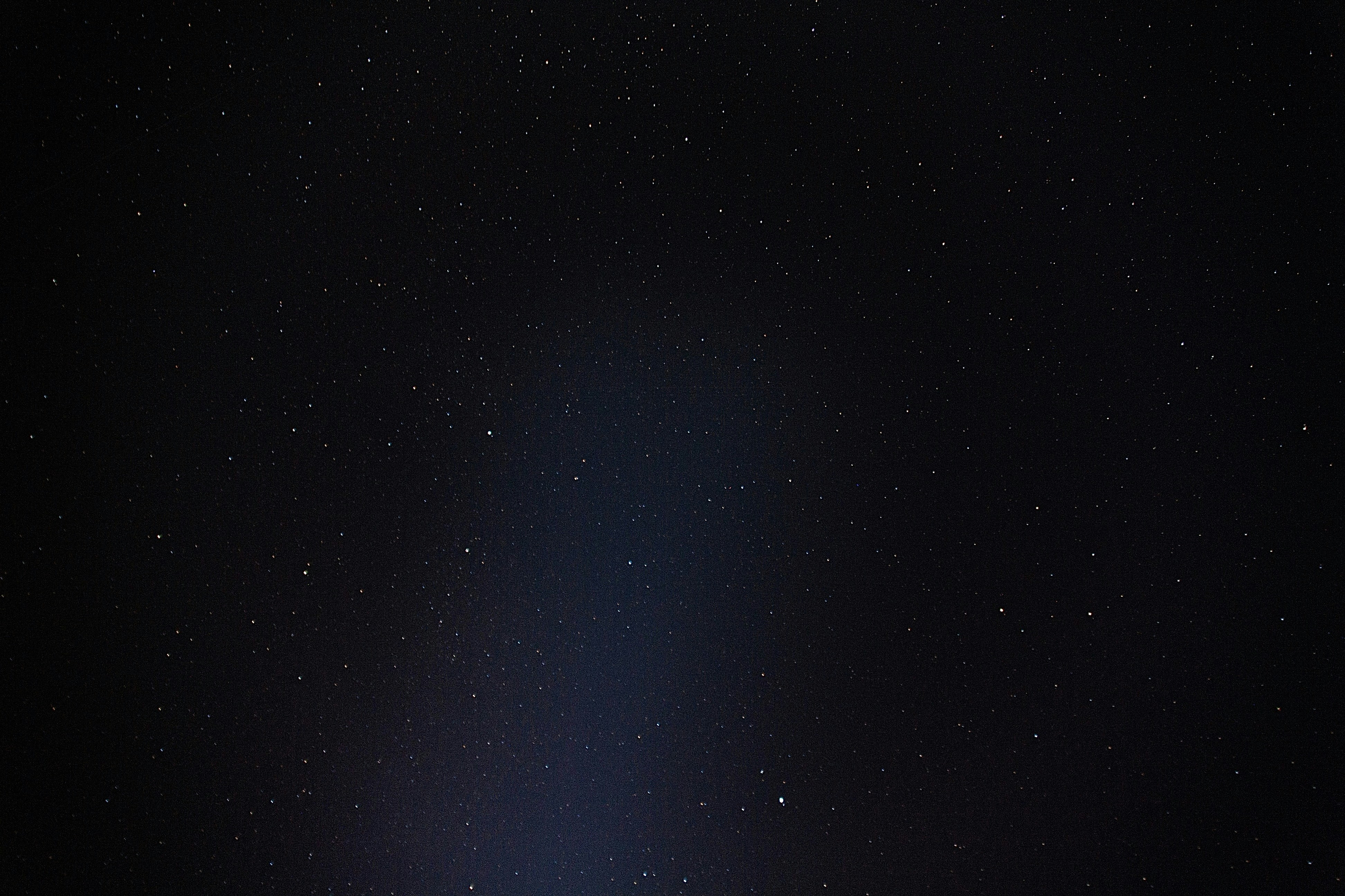 Photo by kulikovnik2