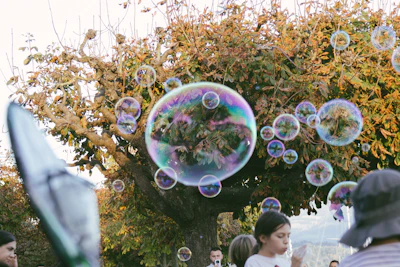 Bubbles floating in front of a large tree