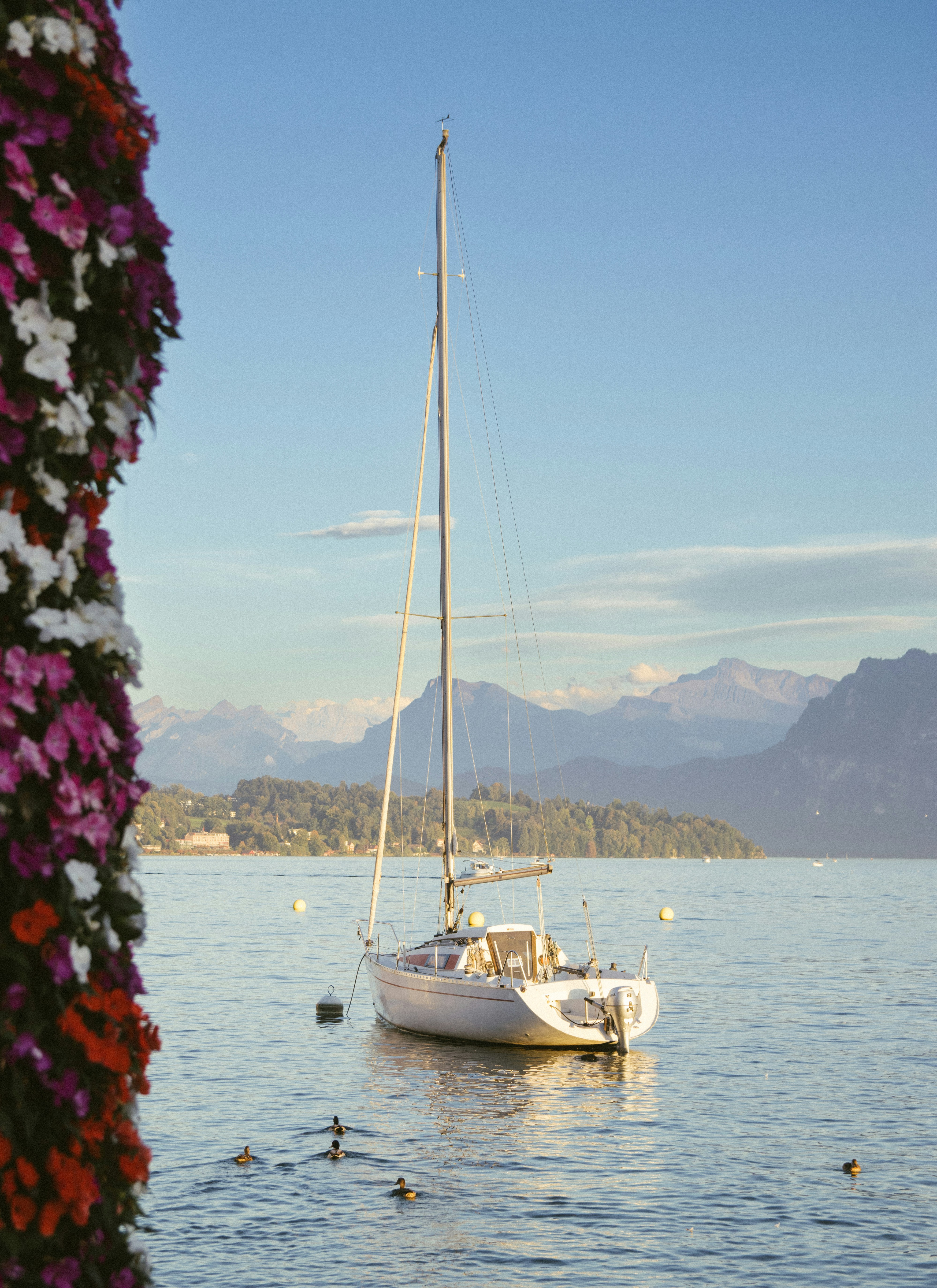 The shape of the lake: why Lake Lucerne works so well for cruising