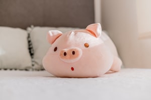 Emergency Fund vs Debt Payoff: The Great Financial Debate Solved Once and For All