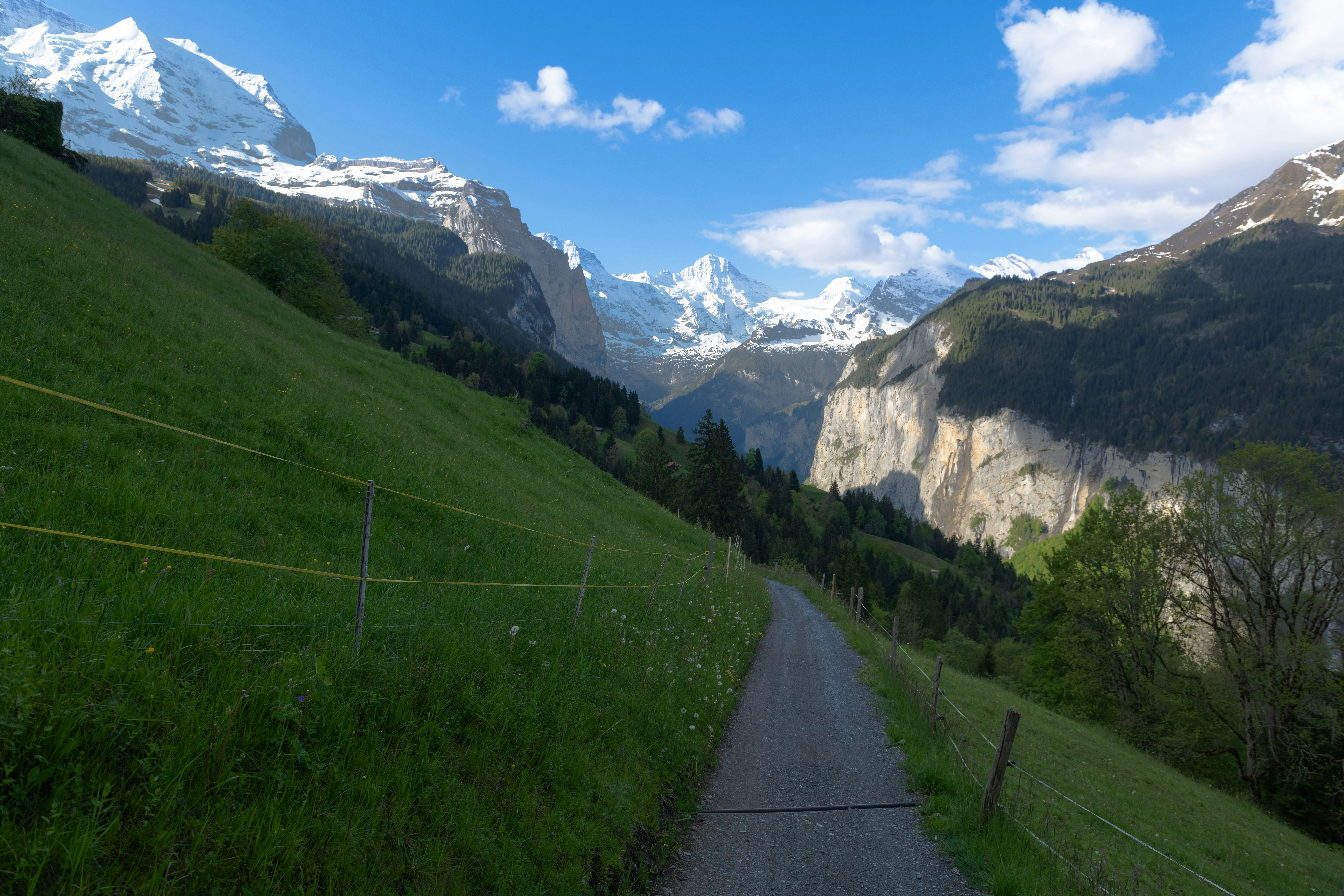 Photo by sriniunsplash