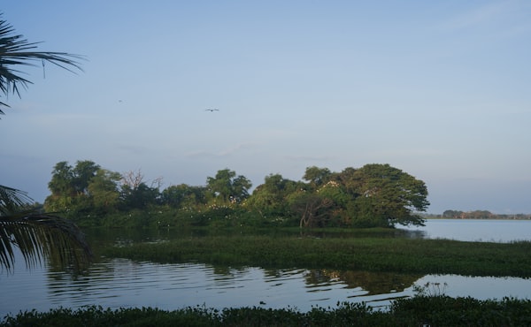Kolam Harian