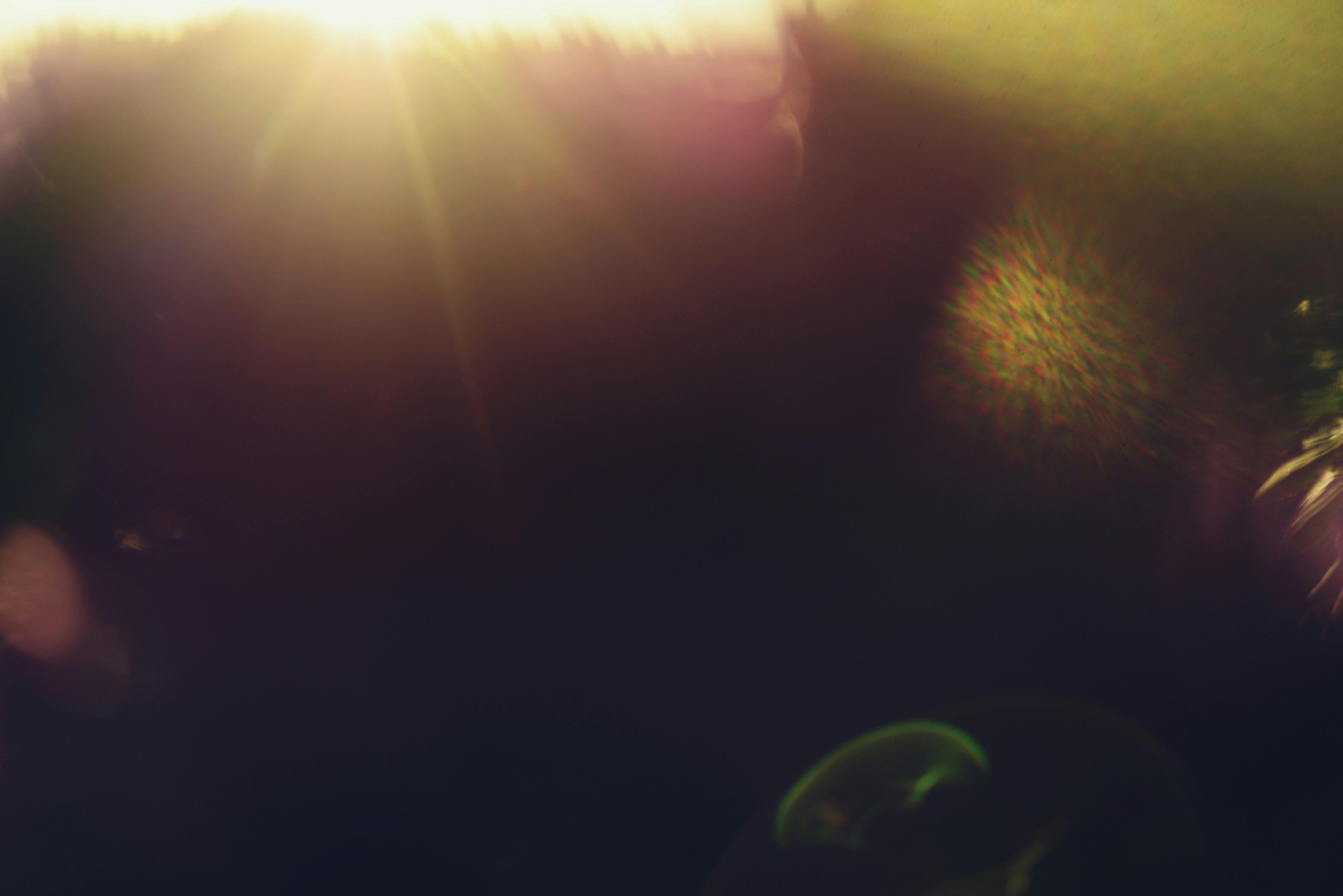 Photo by cherstve_pechivo