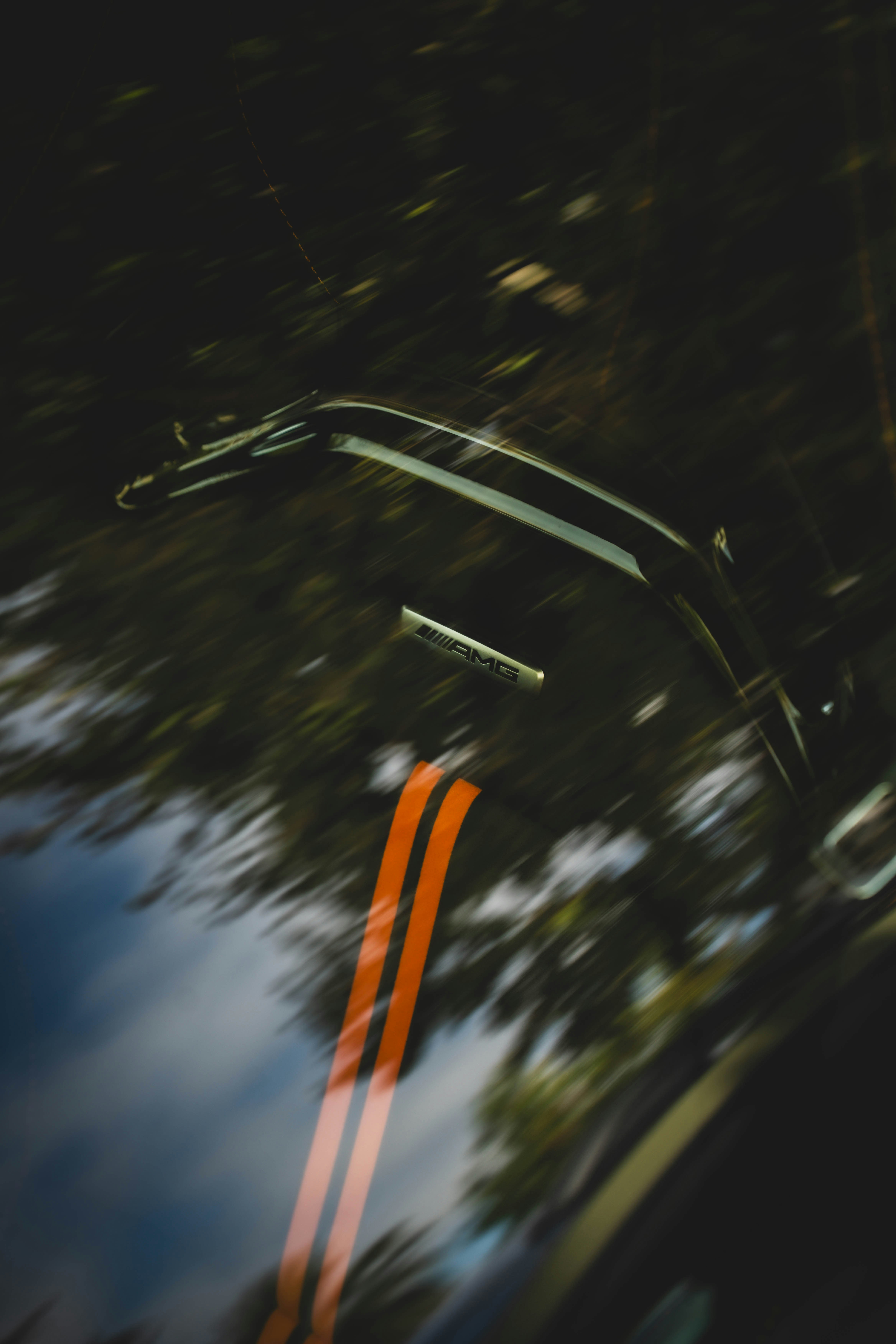 Photo by madeline_sd