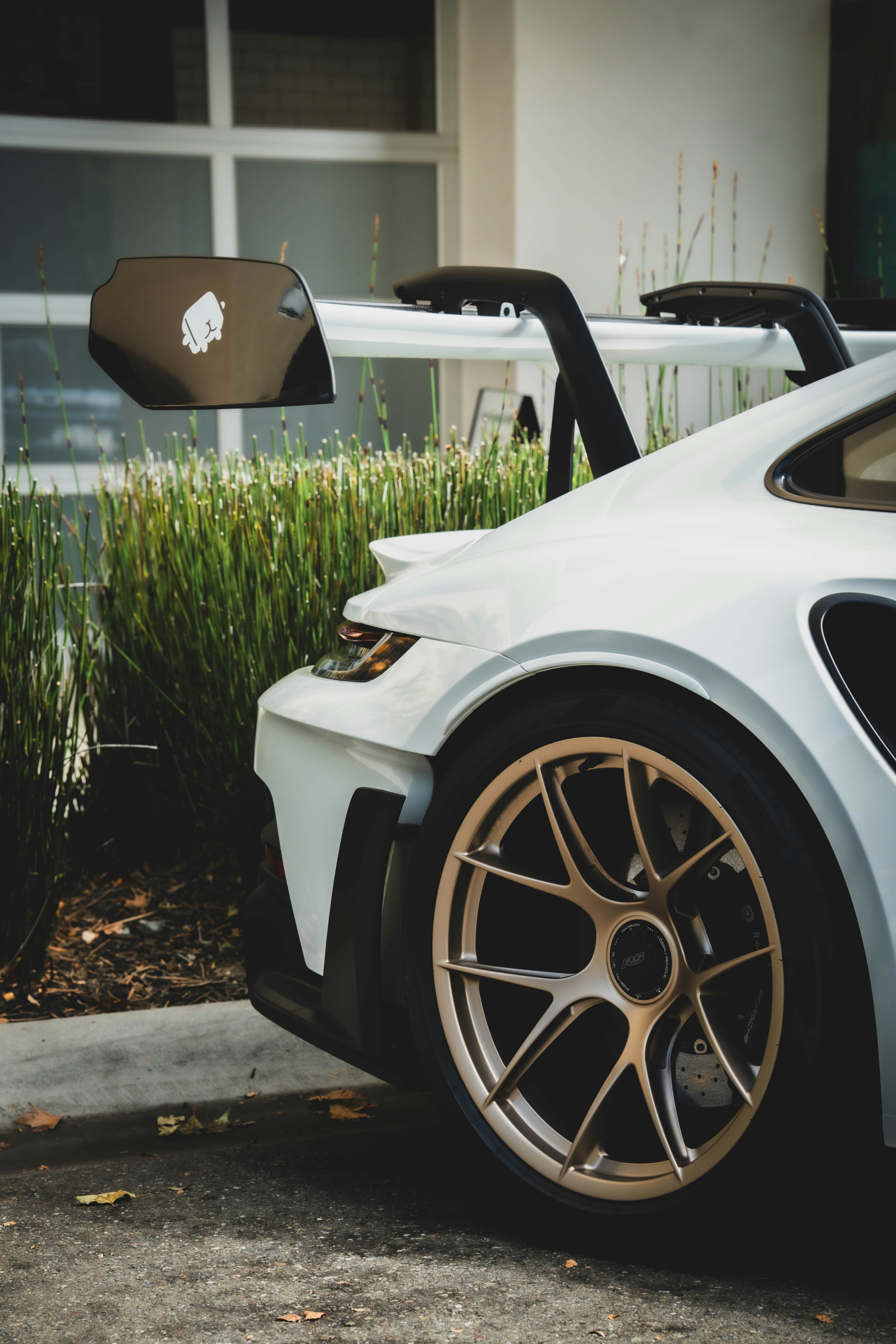 Photo by madeline_sd