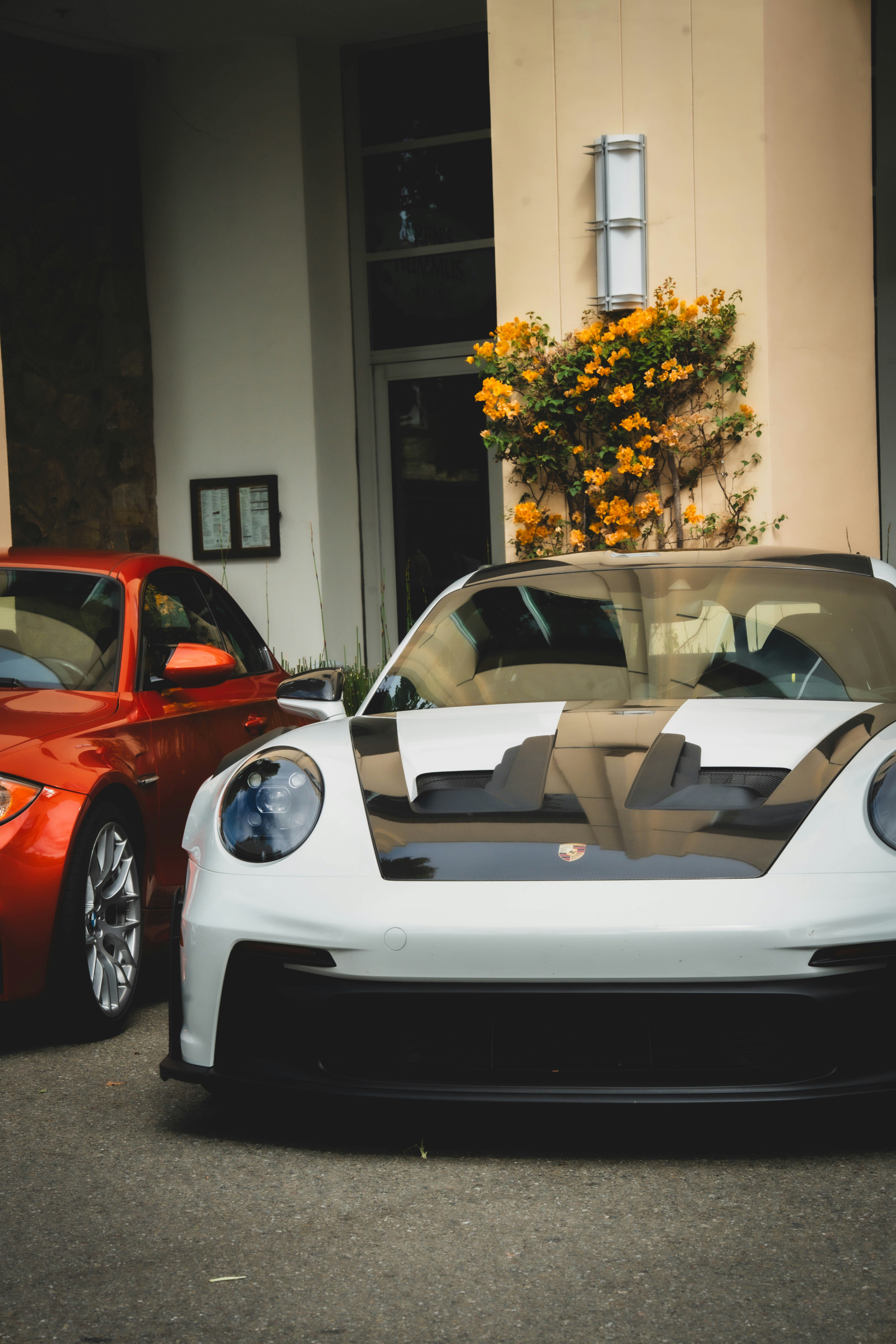 Photo by madeline_sd