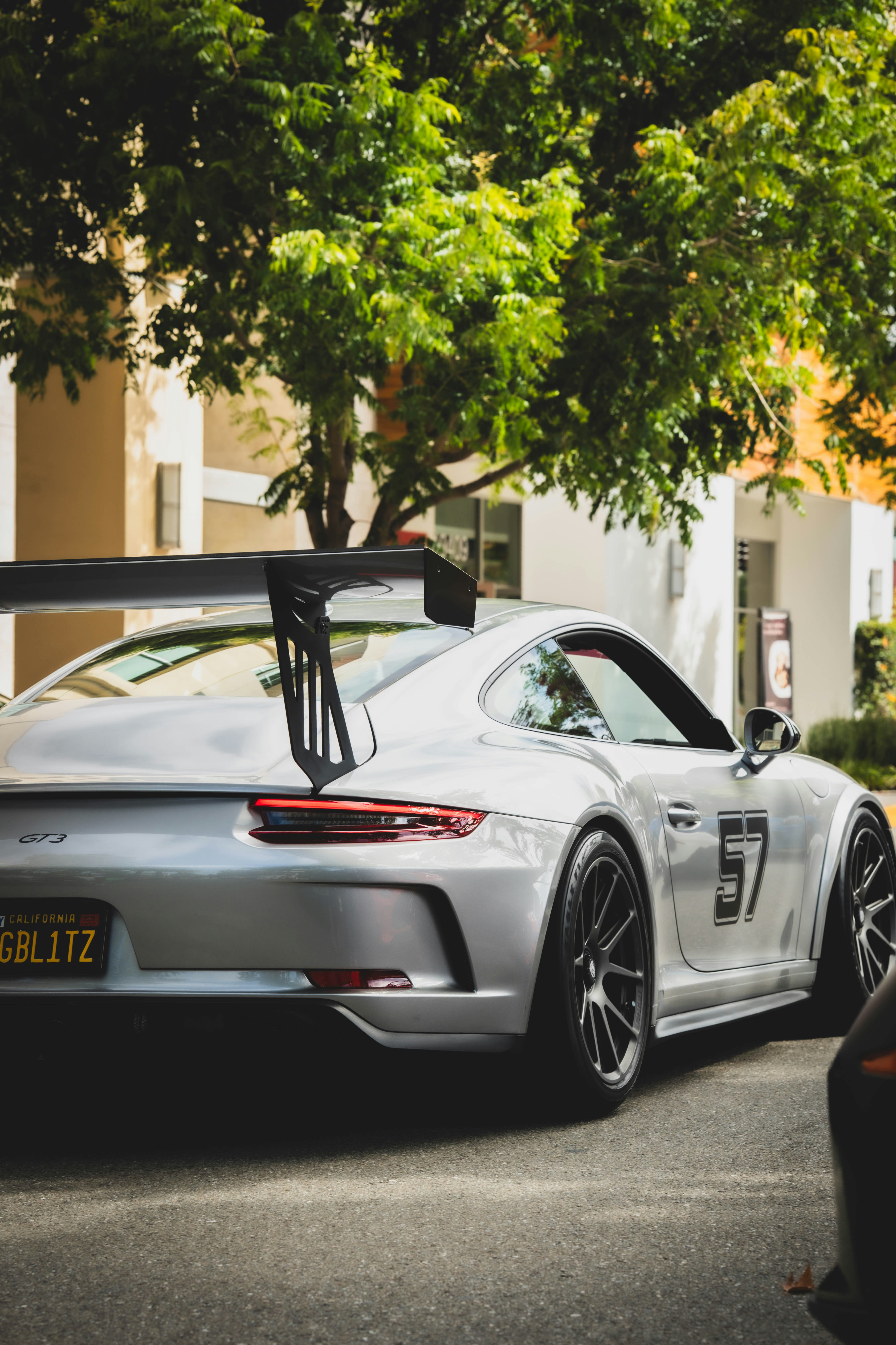 Photo by madeline_sd